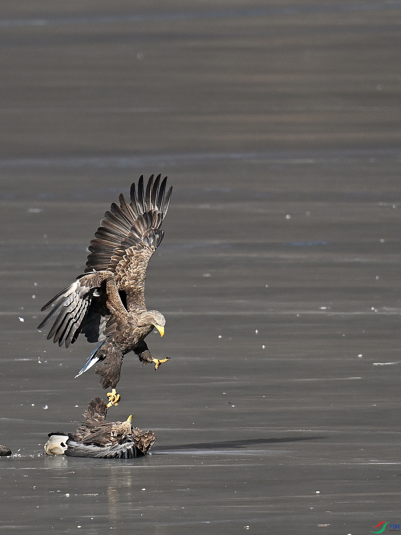 DSC_6667.JPG