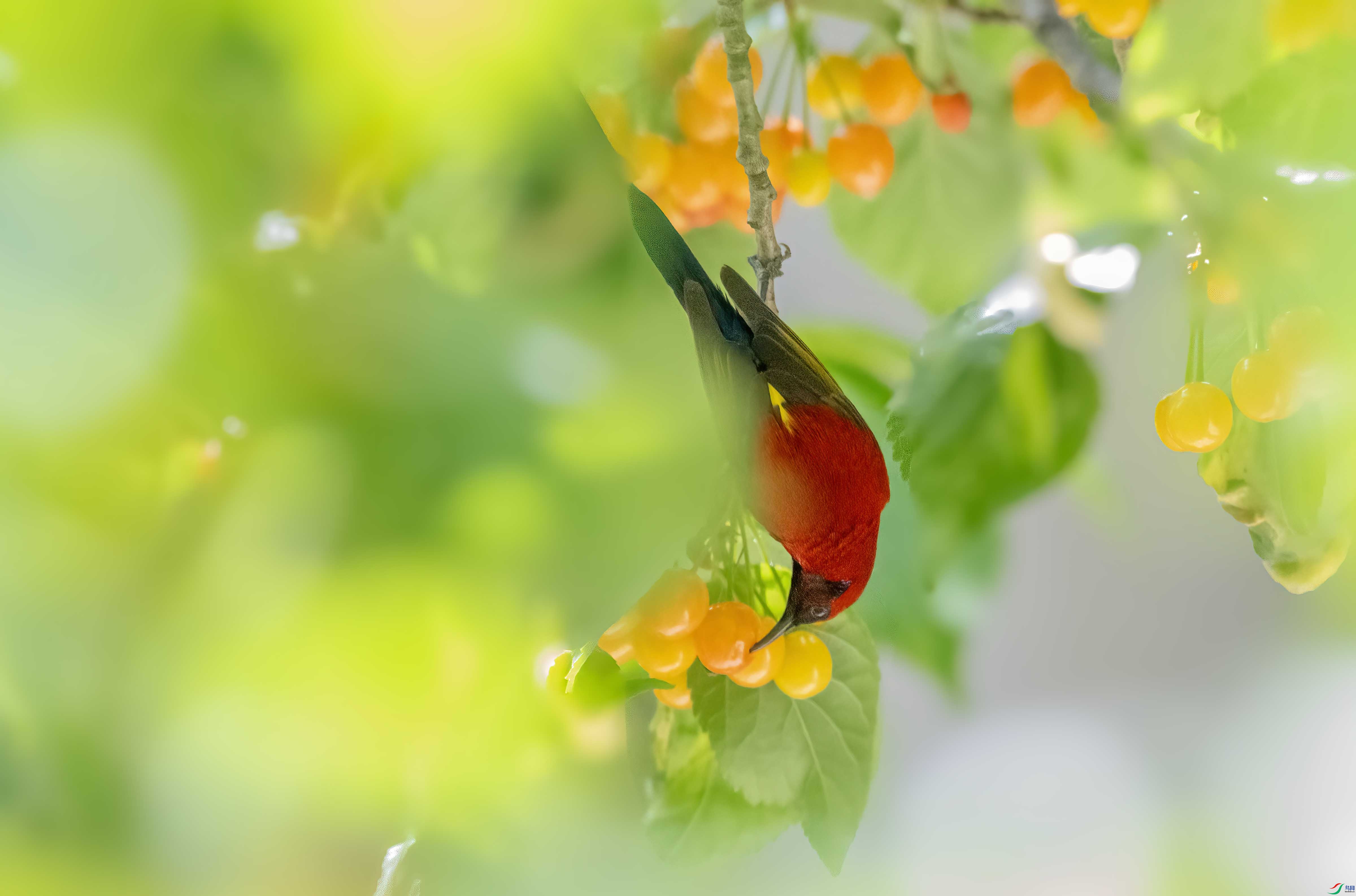 DSC_5619 ����.jpg