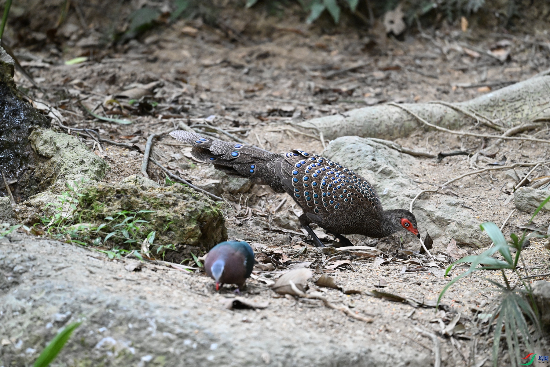DSC_7551.JPG