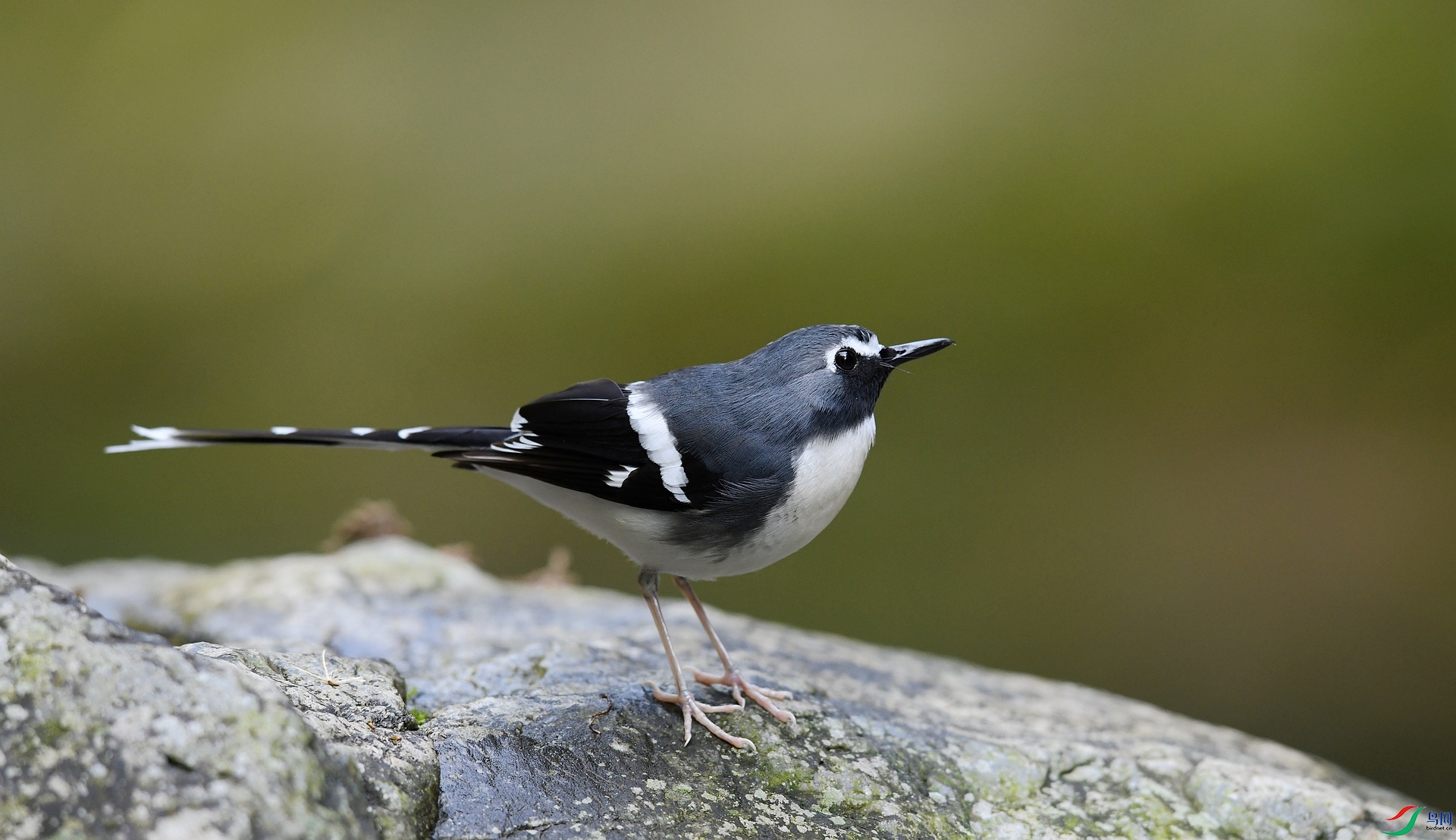 DSC_2080.jpg
