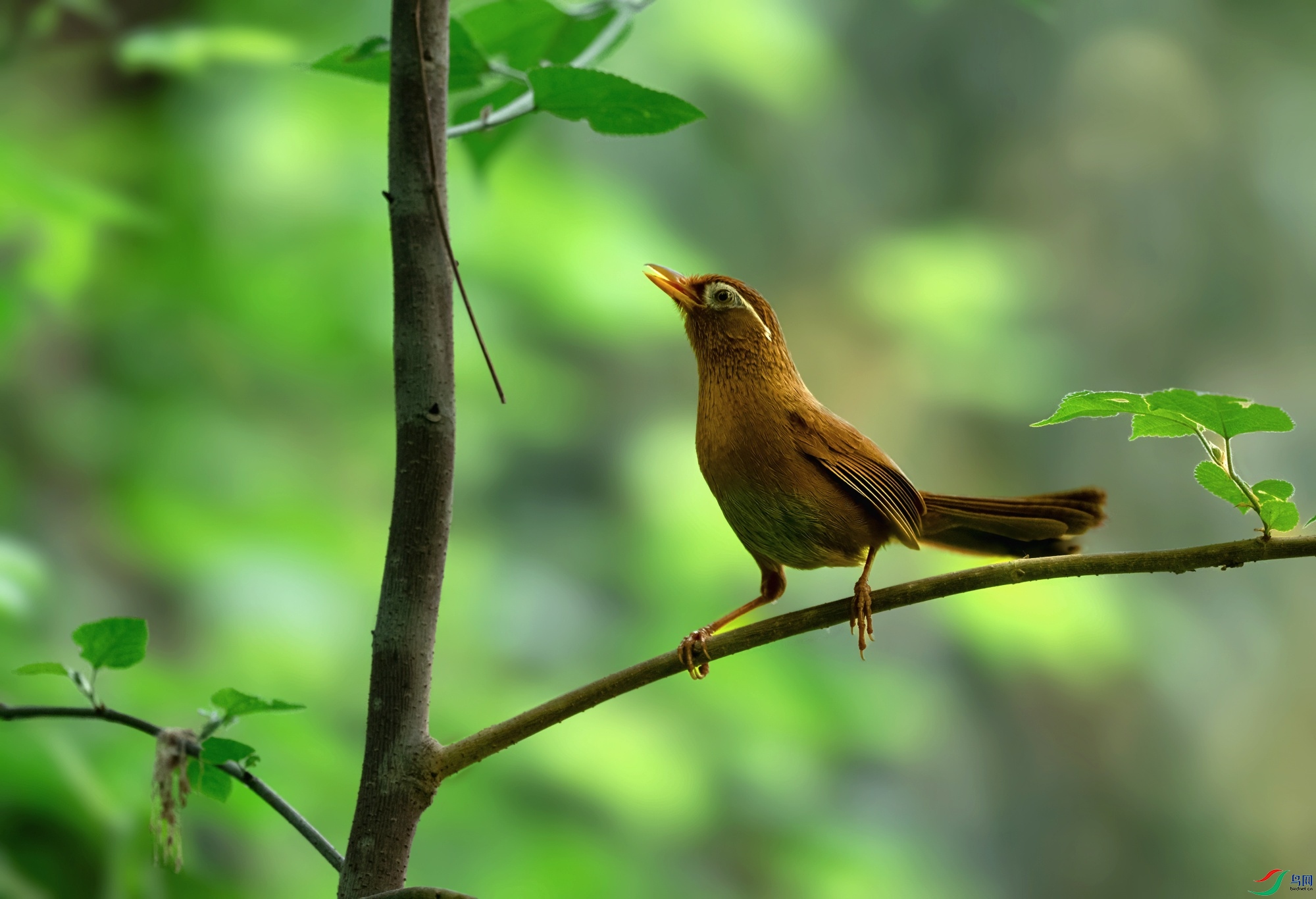 _DSC3393 ����-01.jpeg