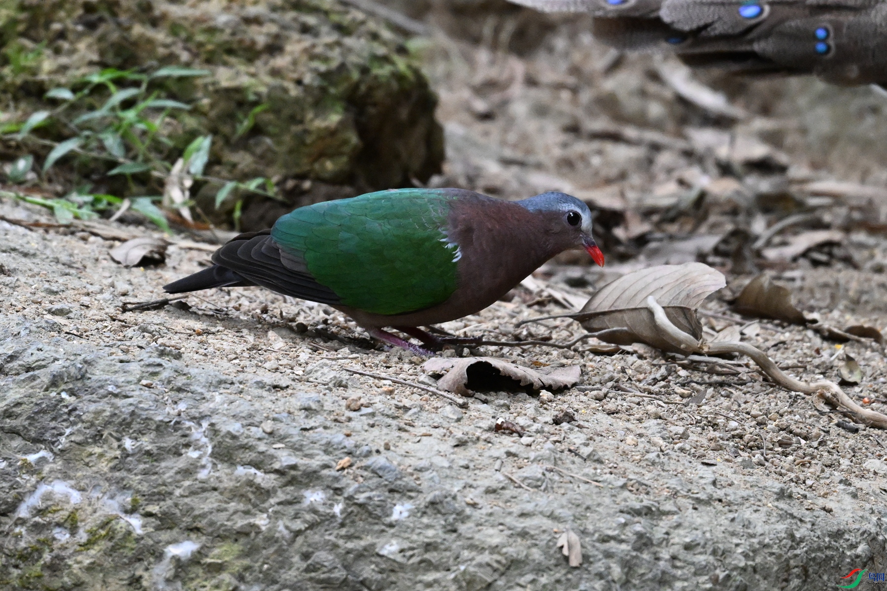 DSC_7566.JPG