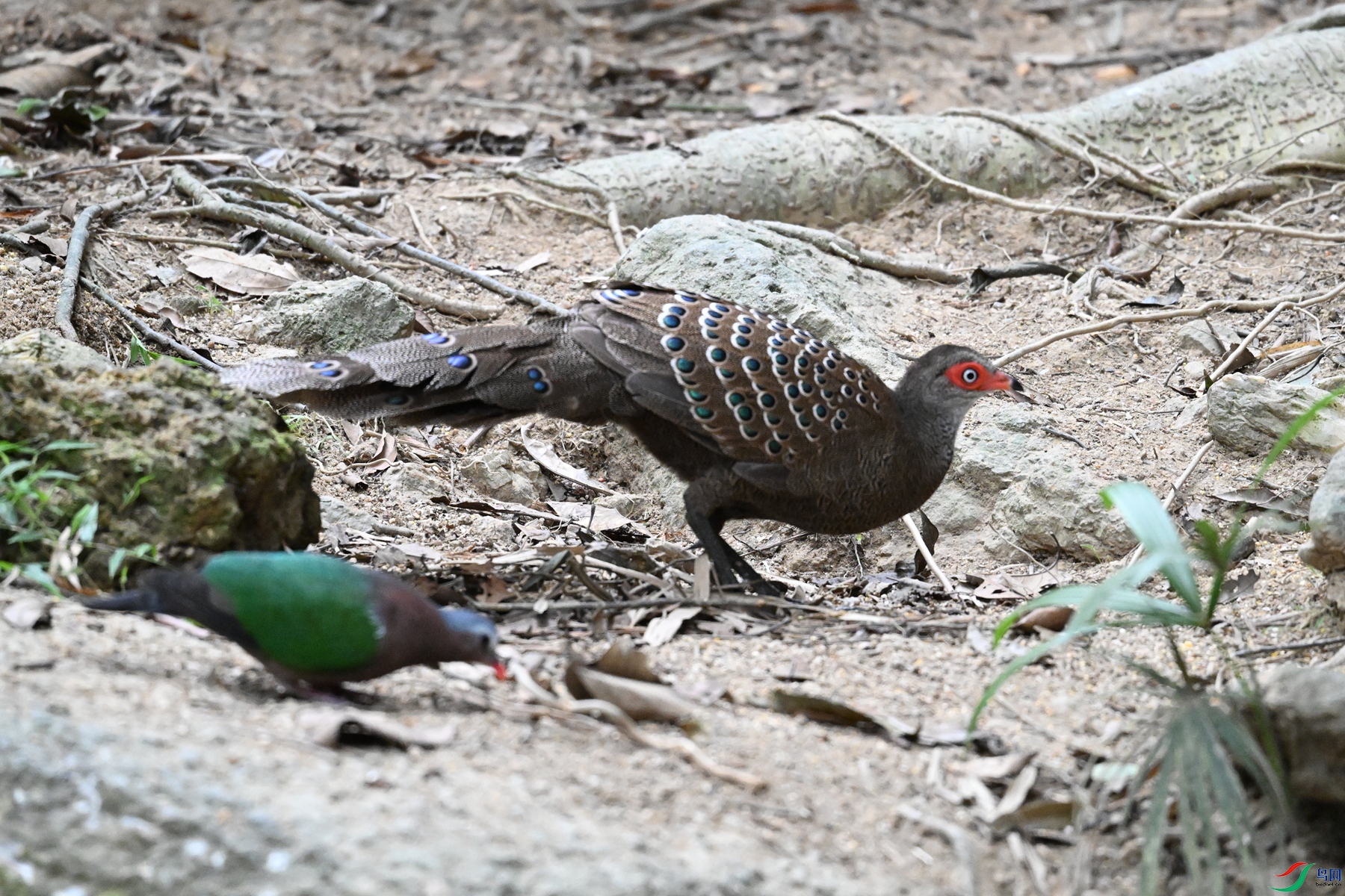 DSC_7577.JPG