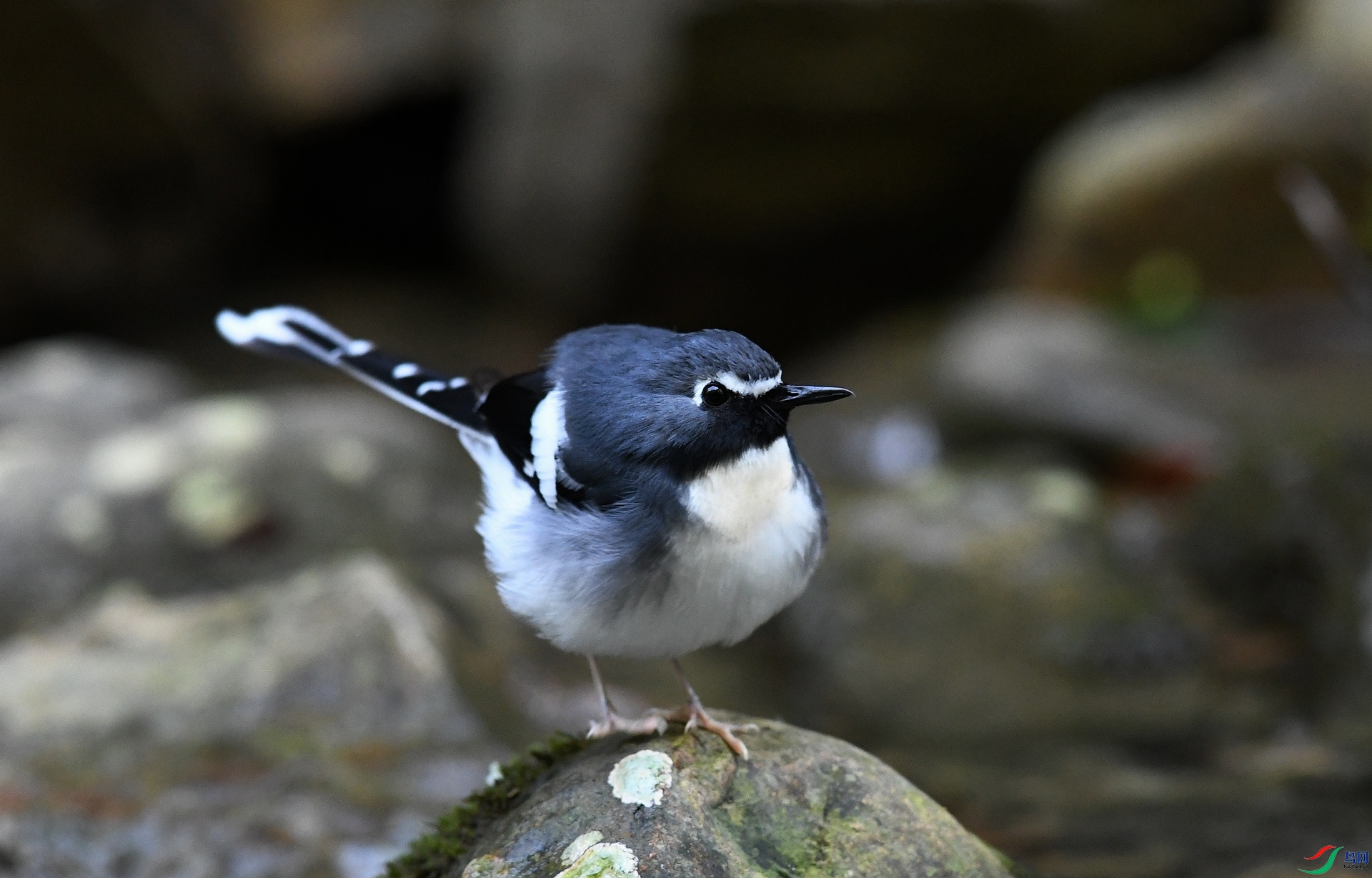 DSC_2141.jpg