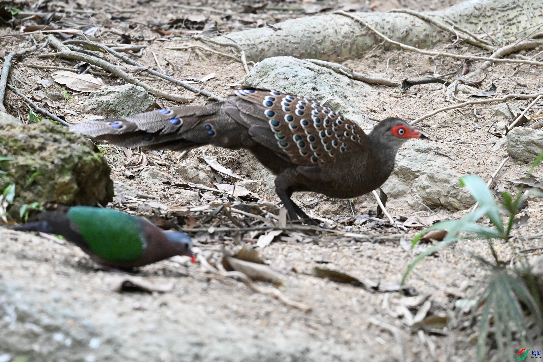 DSC_7578.JPG