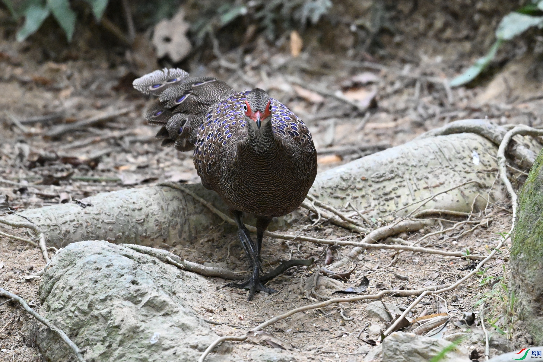 DSC_7591.JPG