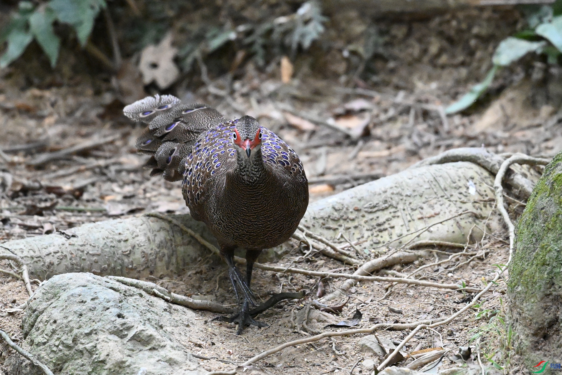DSC_7592.JPG