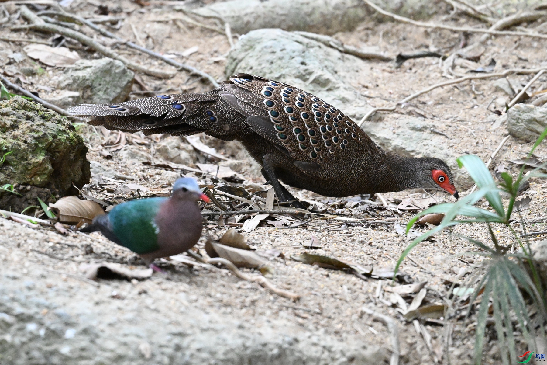 DSC_7580.JPG