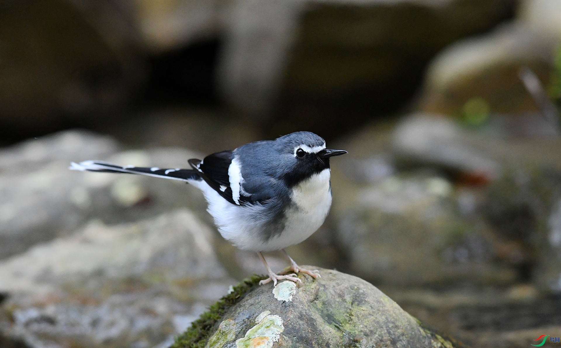 DSC_2144.jpg
