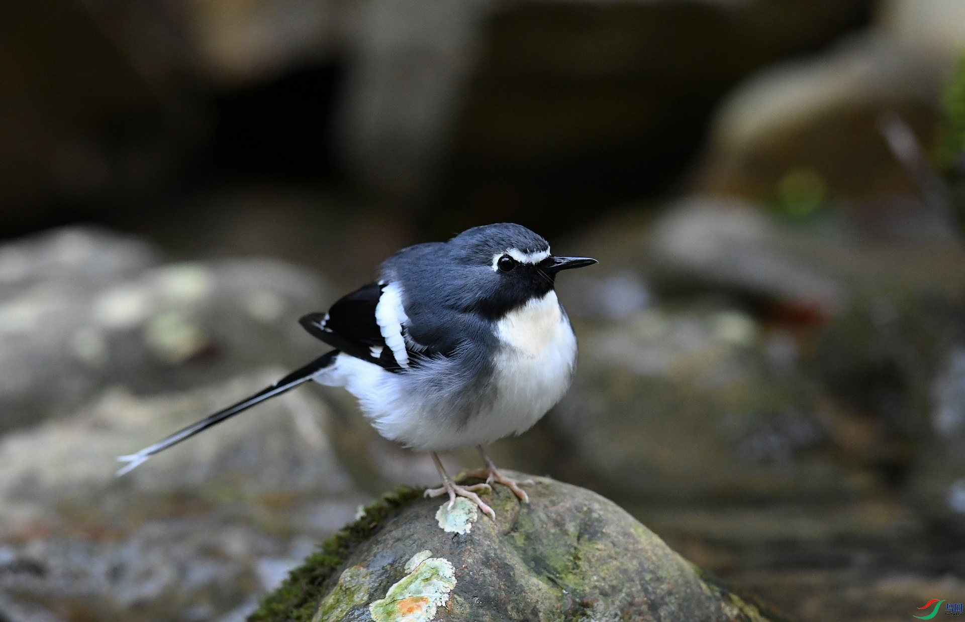 DSC_2142.jpg