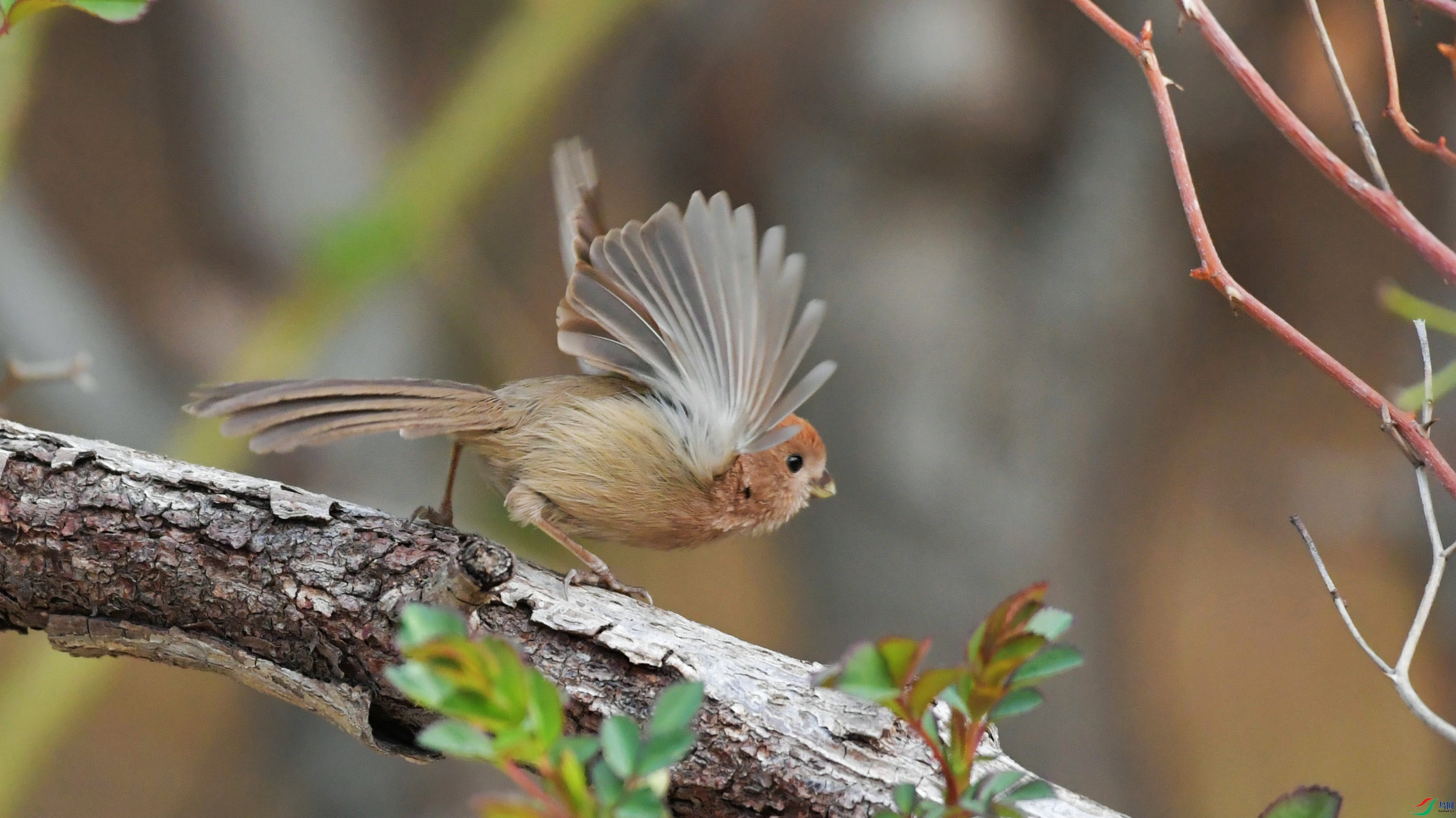 DSC_6794.JPG