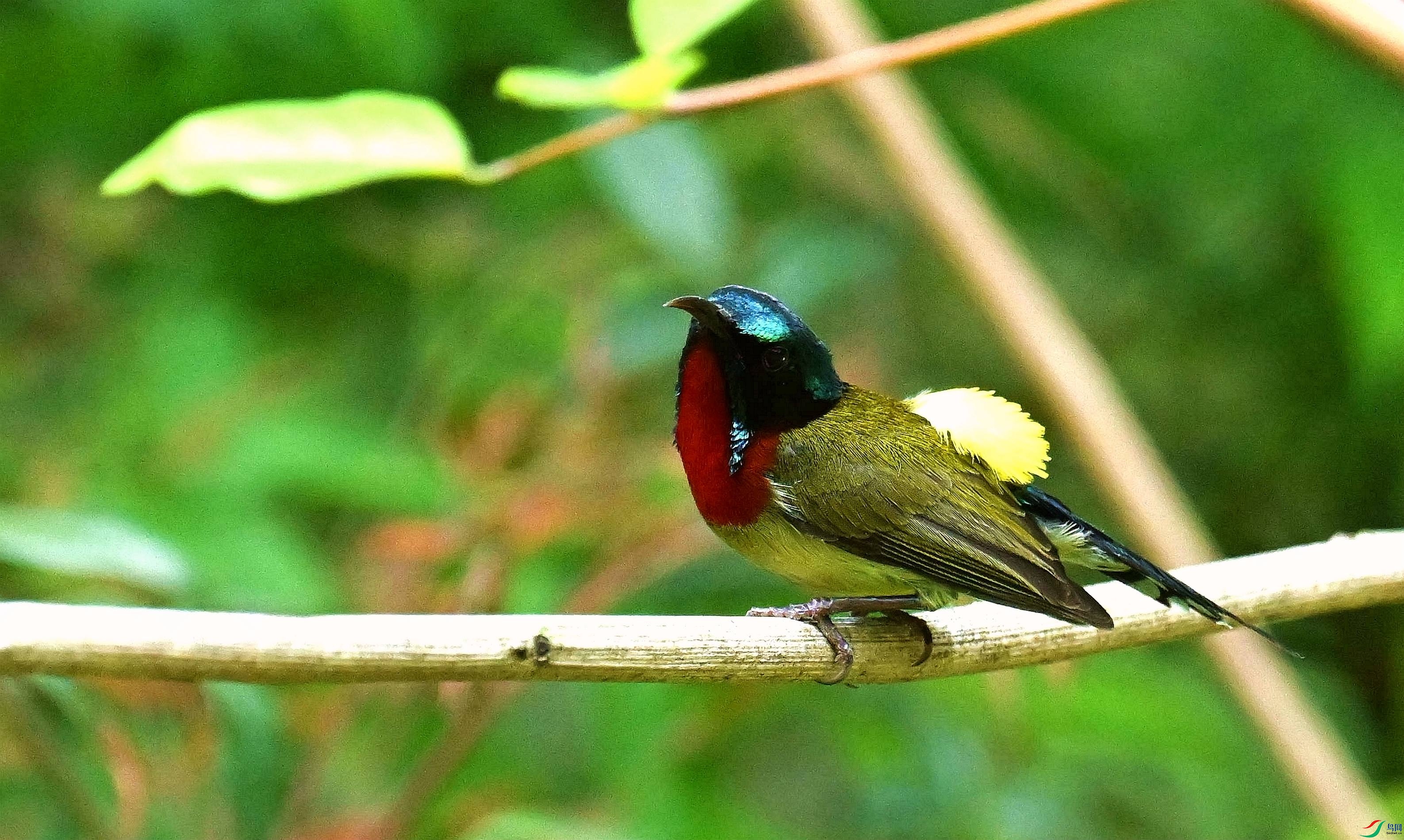 DSC_8057_����.jpg
