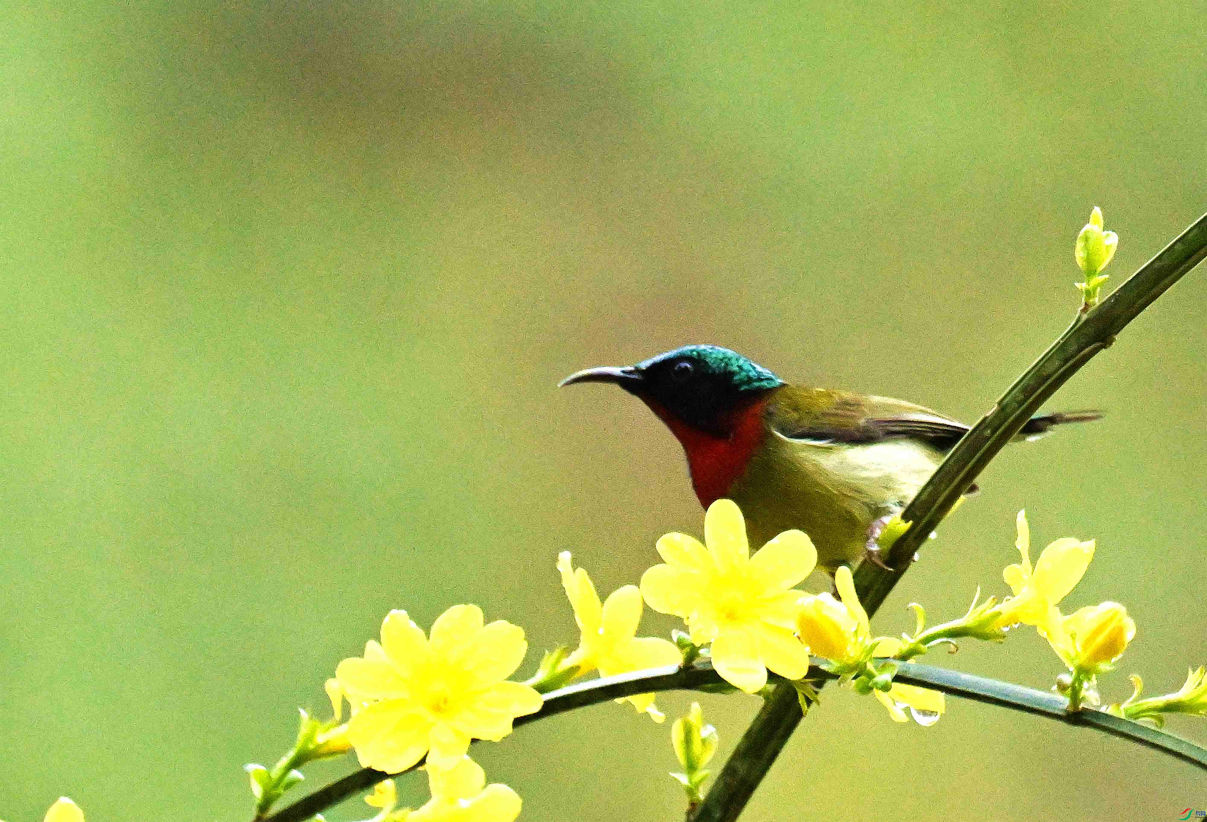 DSC_9563.jpg