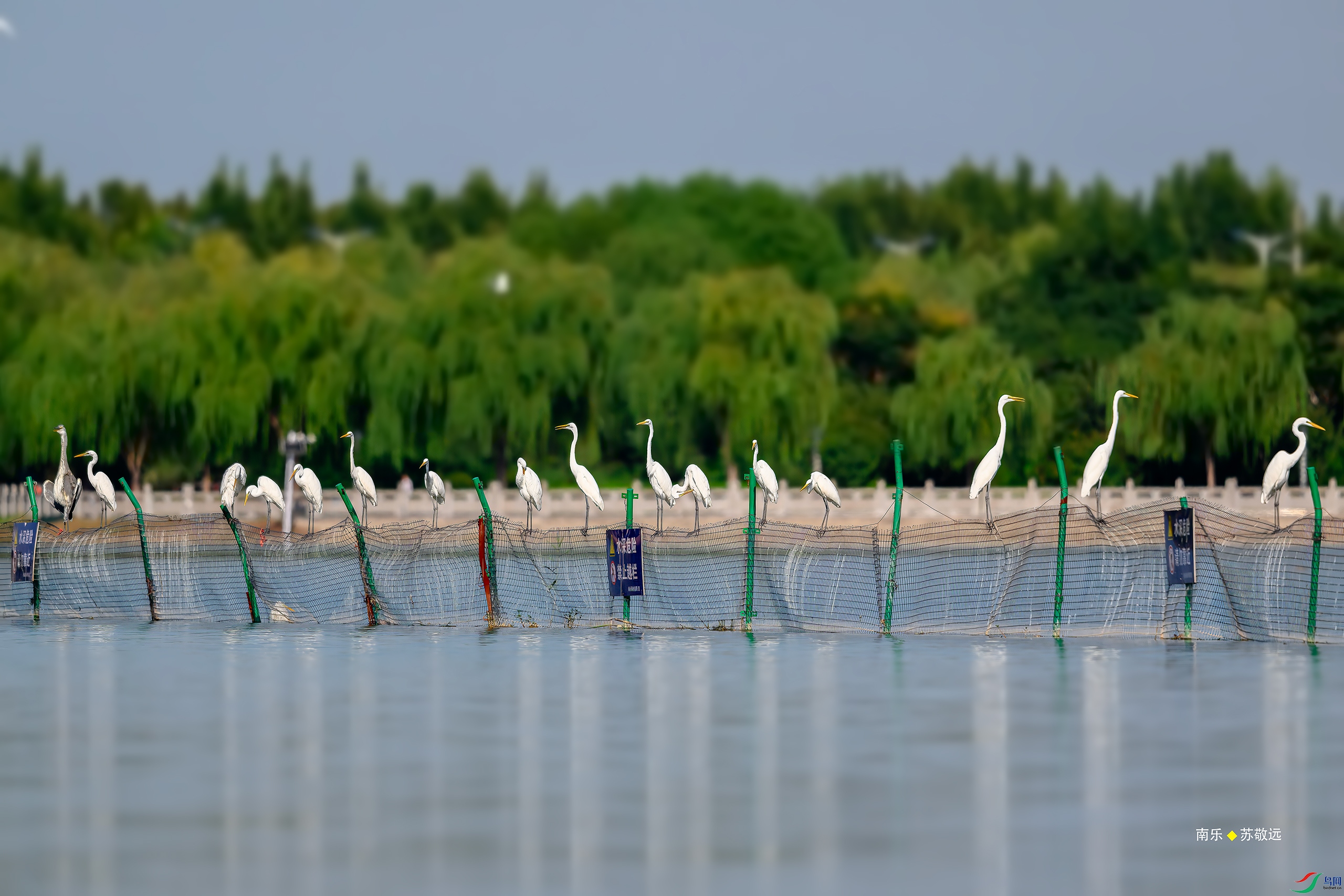 _DSC7721-DxO_С.jpg