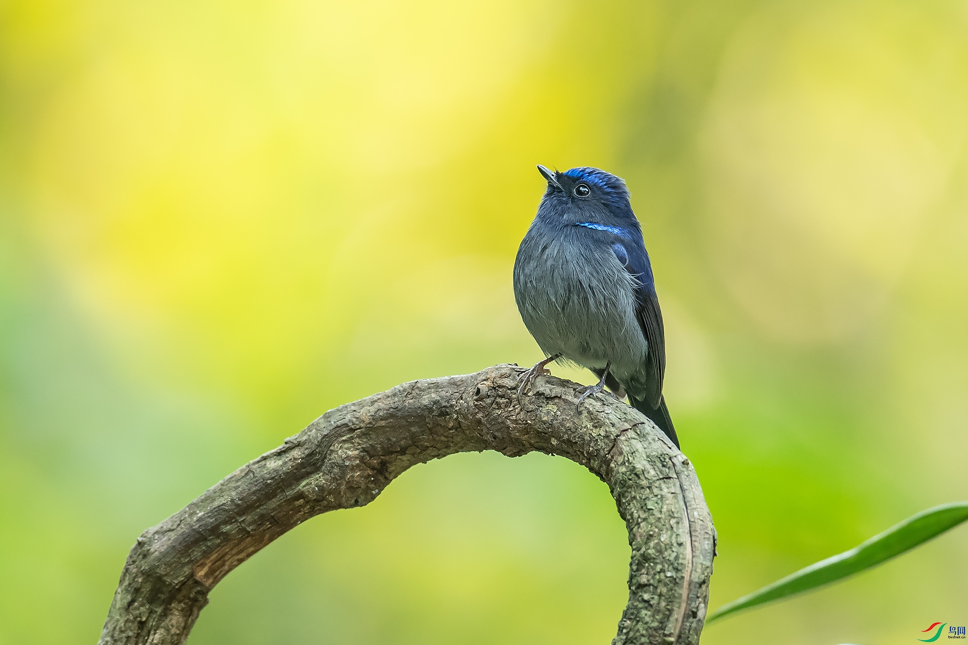 DSC_3194.jpg