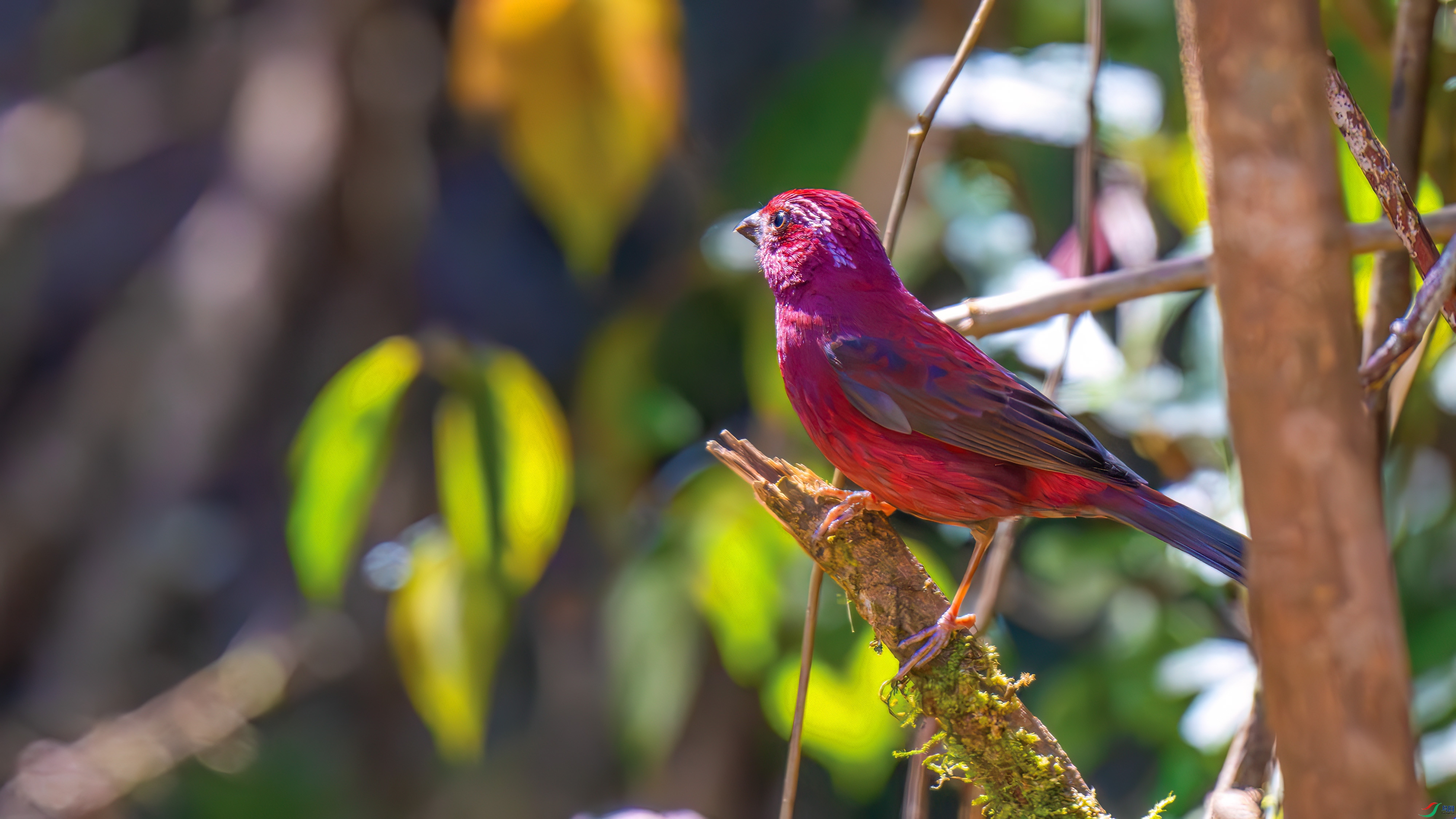 DSC_1769.jpg