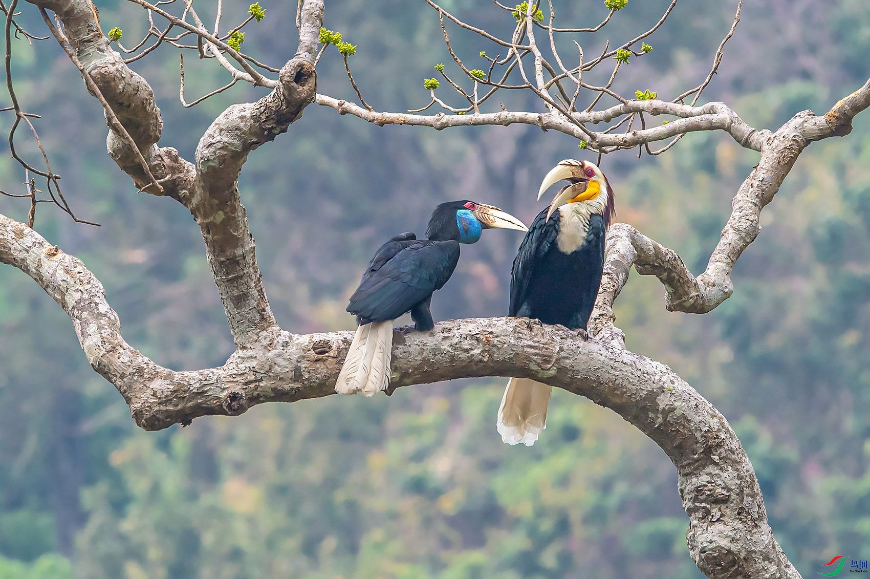 DSC_3963.jpg