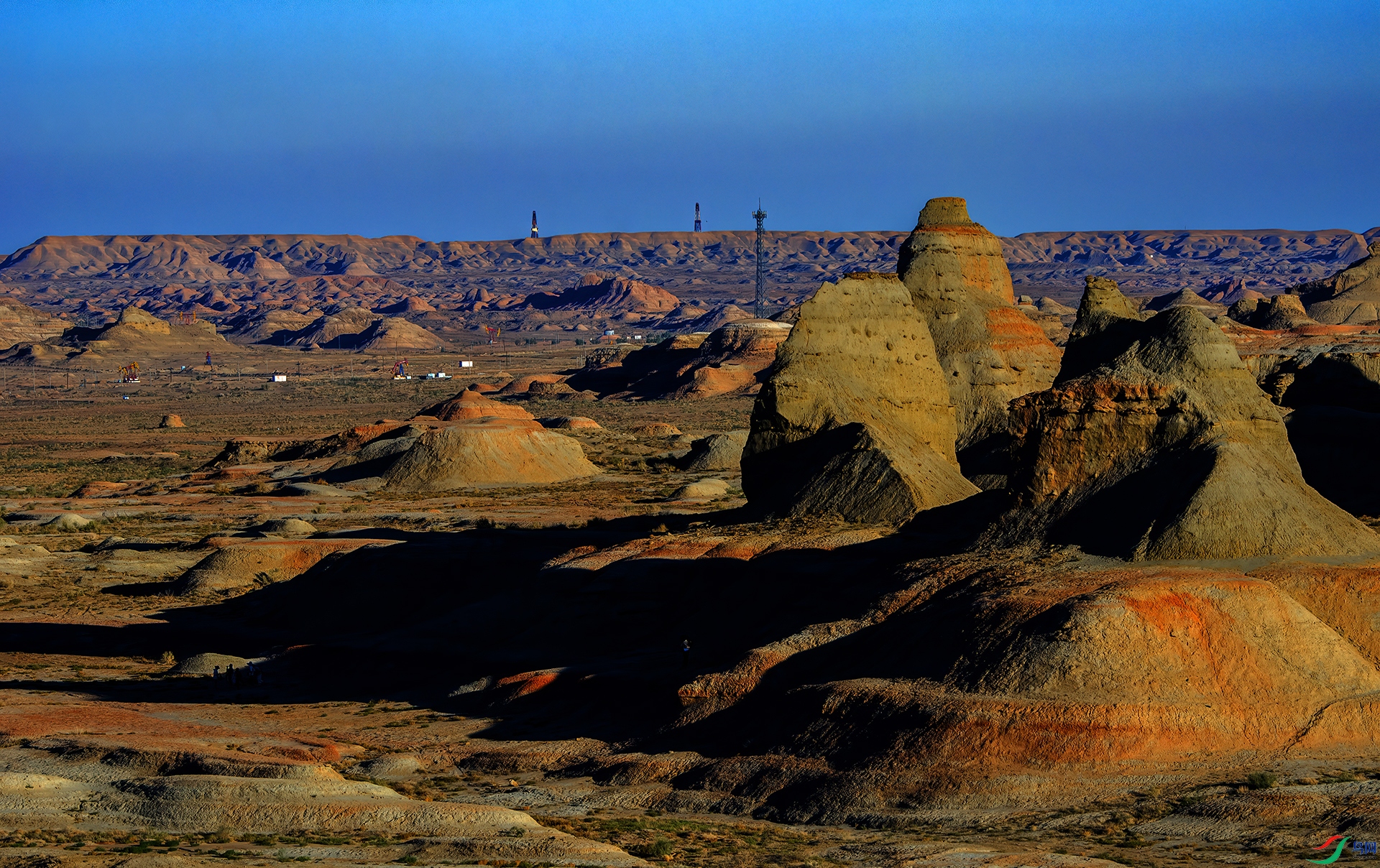 _DSC8143- ħ����.jpg