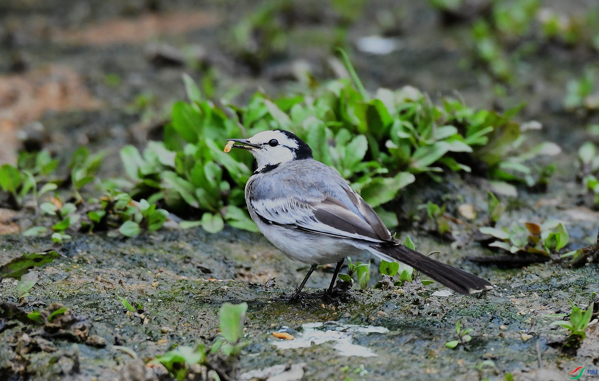 DSC_0641.jpg