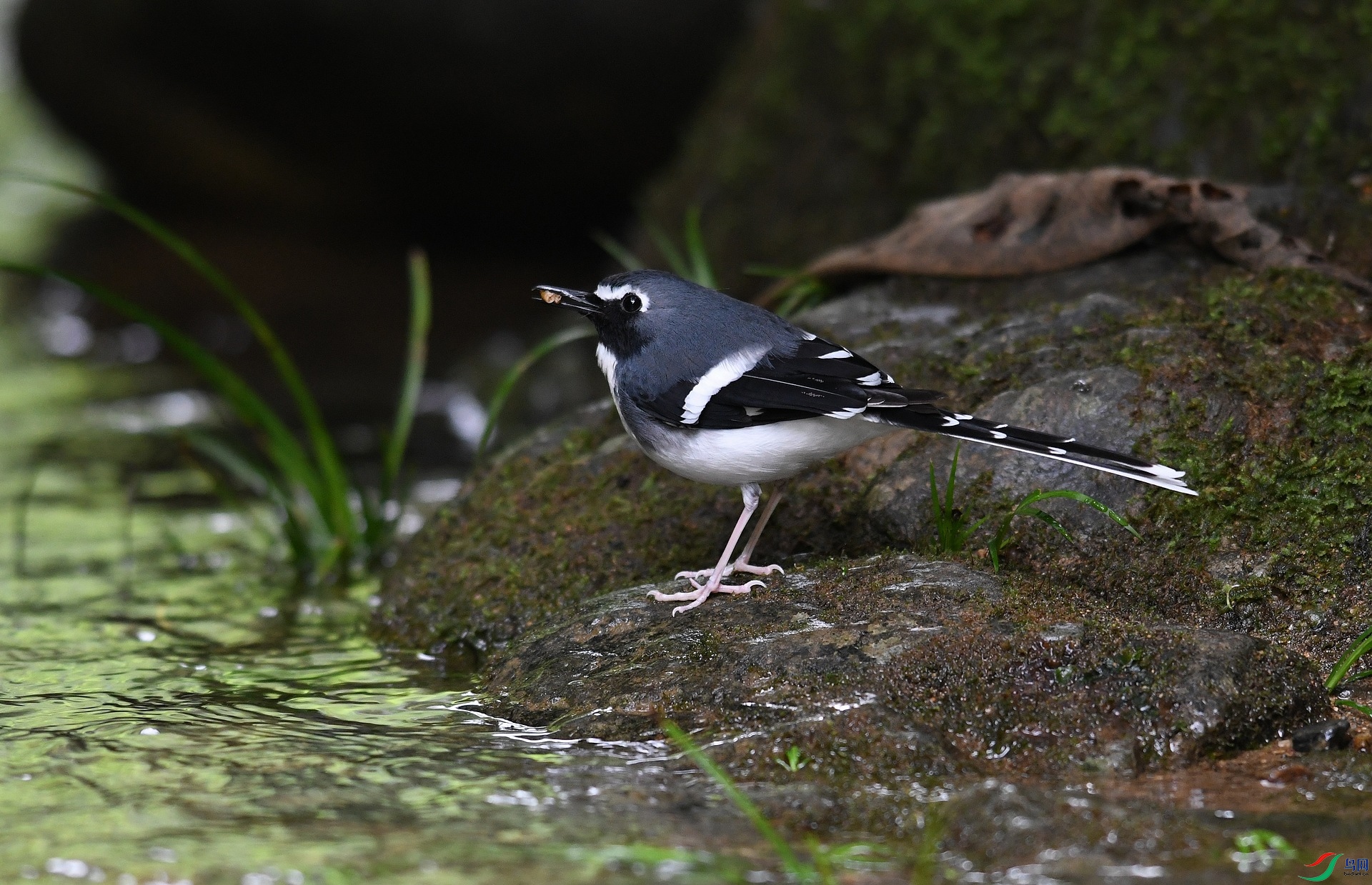 DSC_3911.jpg