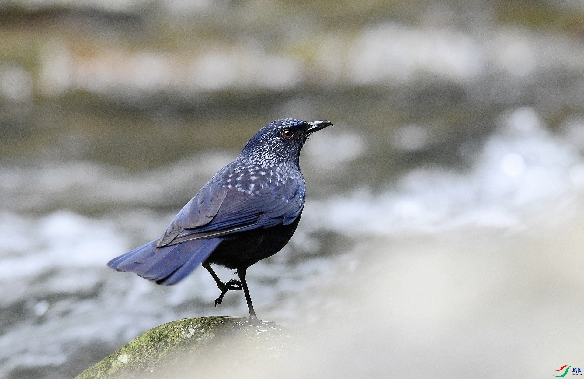 DSC_4207.jpg