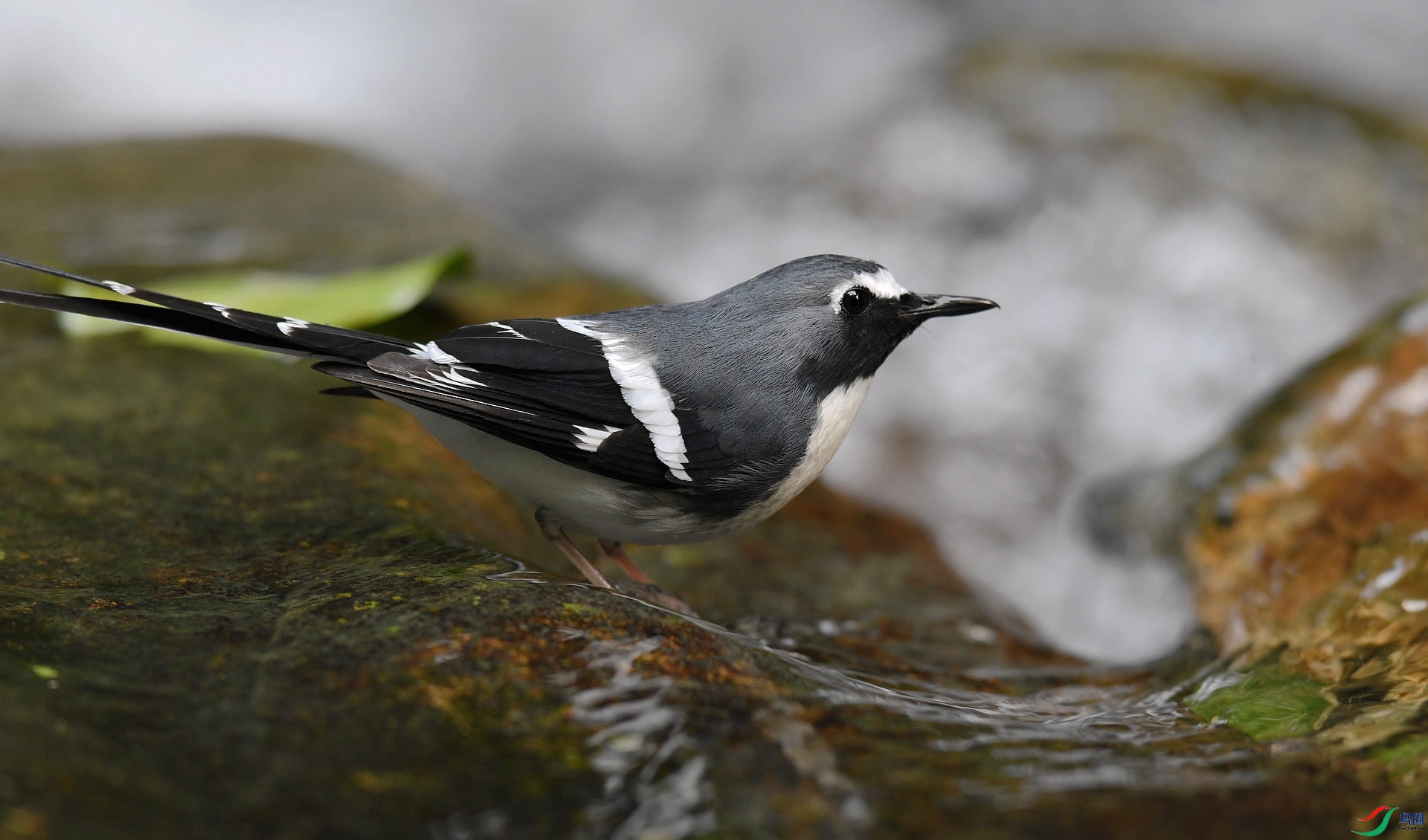 DSC_6716.jpg