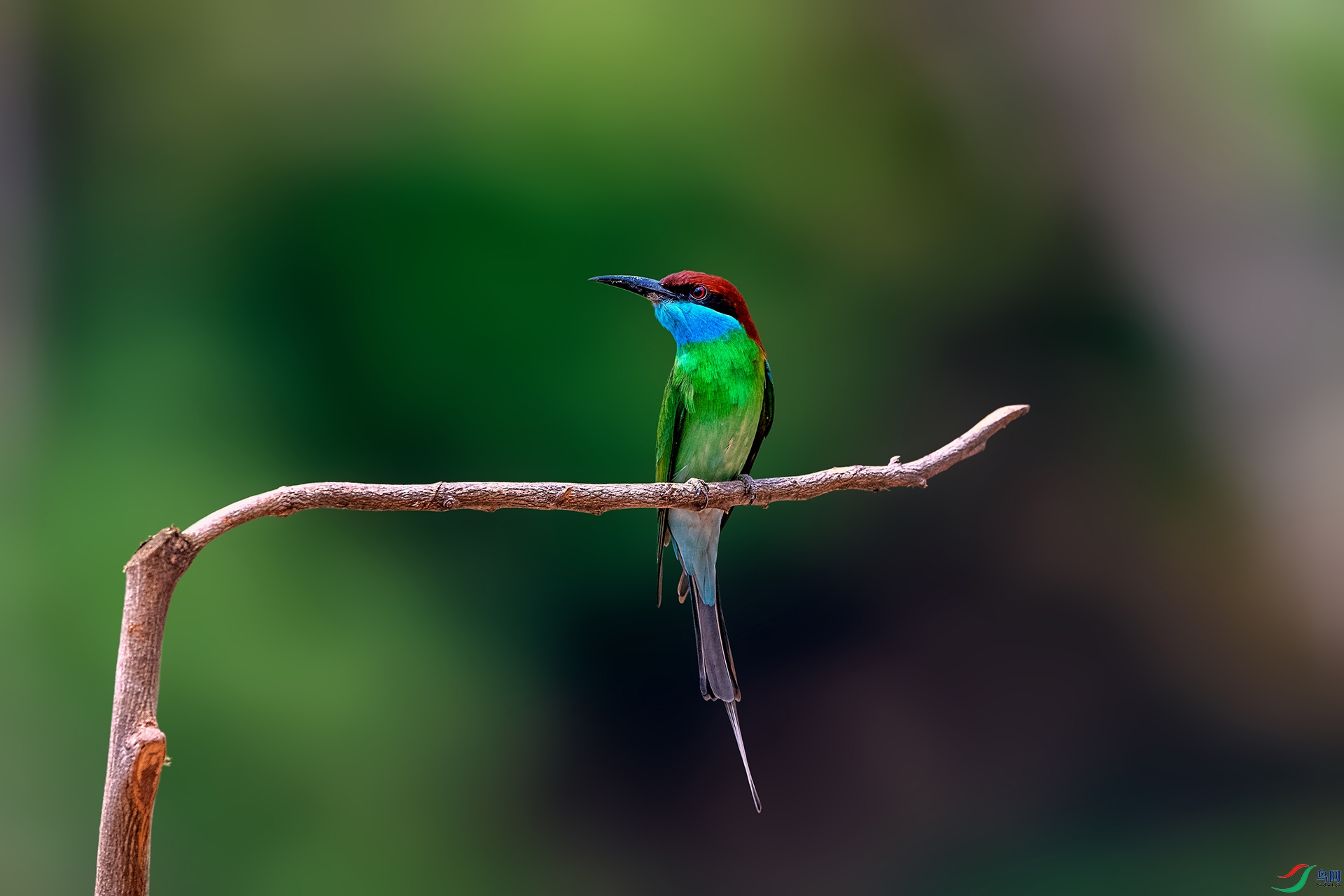 _AUU5010�����仢(24.5.14).jpg