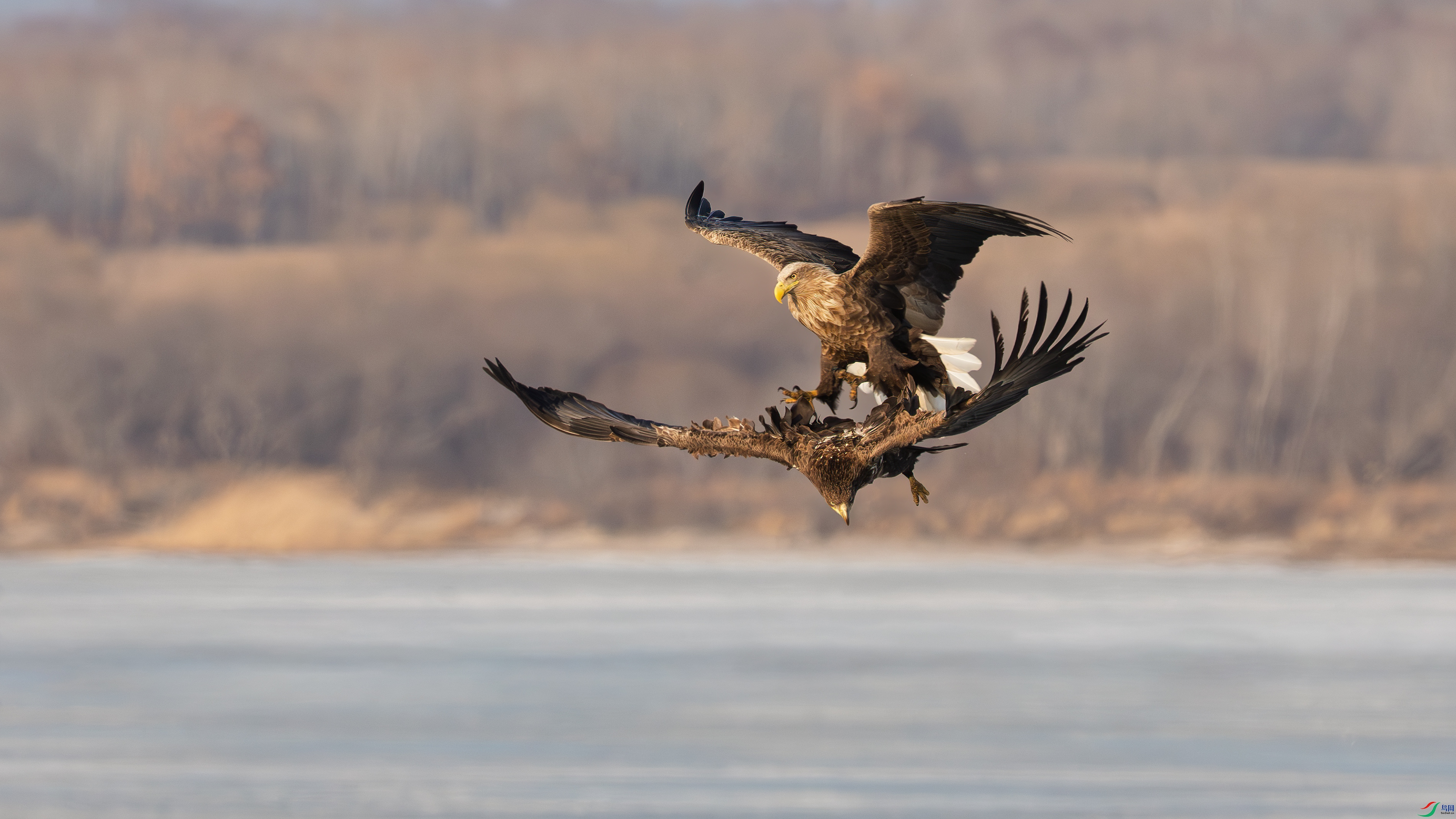 _DSC5726 ����.jpg