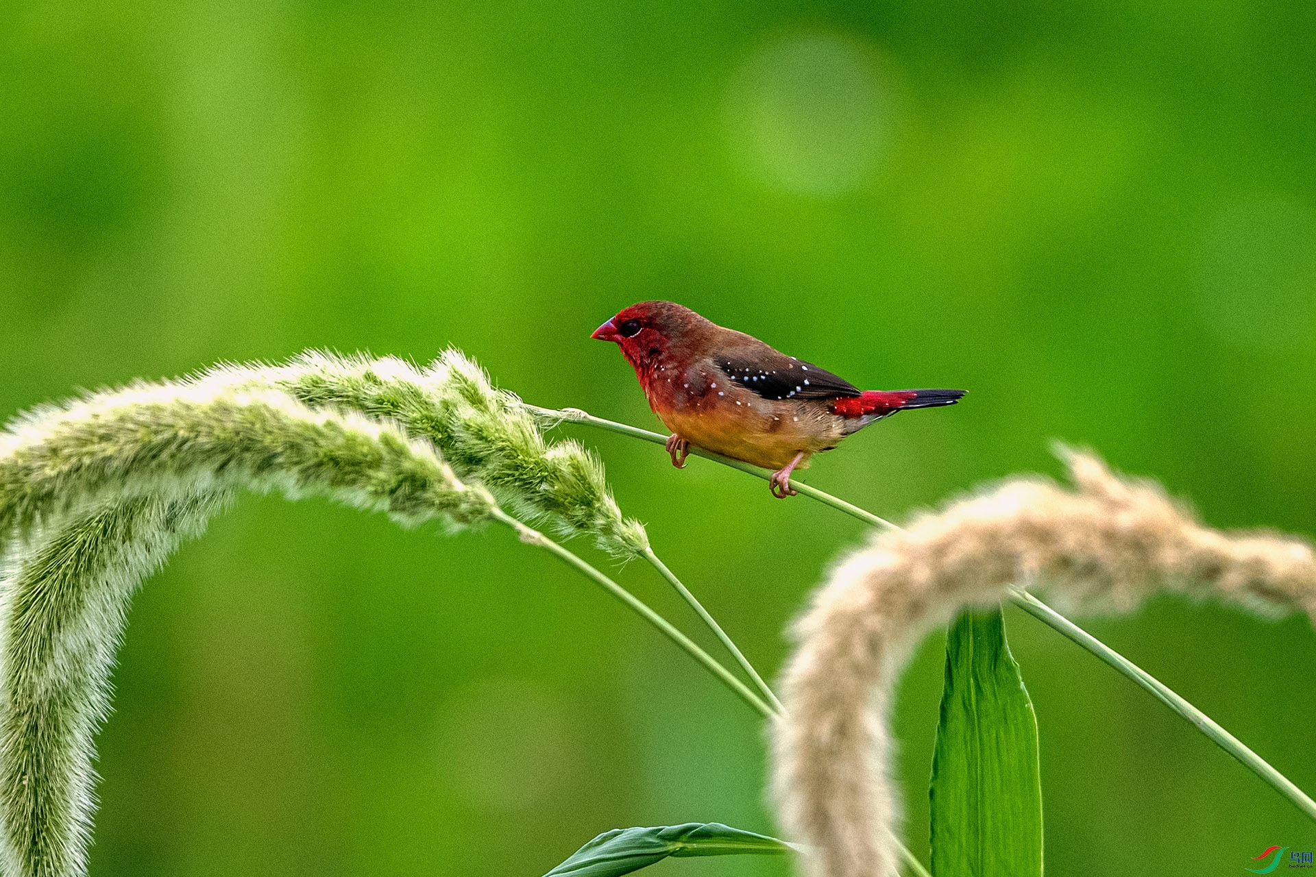 _AUU5529 ��÷��ȸ(25.7.7).jpg