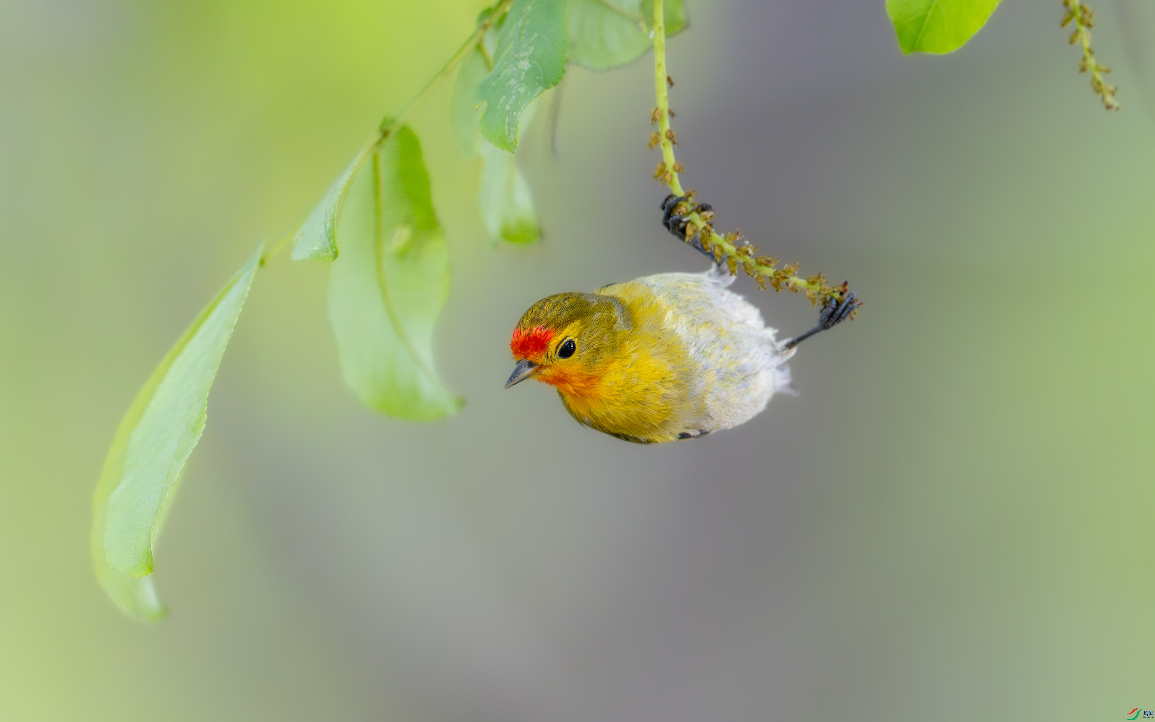 DSC_1149-1.jpg