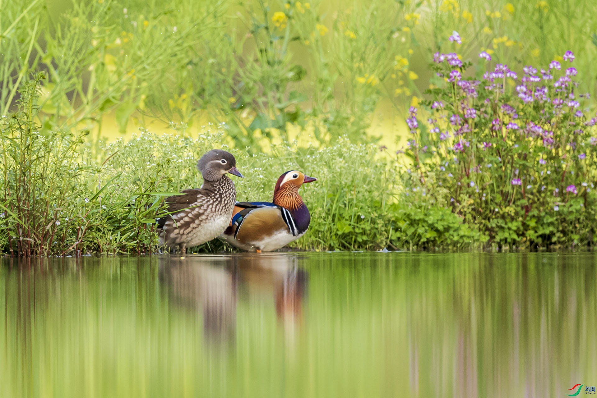 AF3I2883-2 ����.jpg