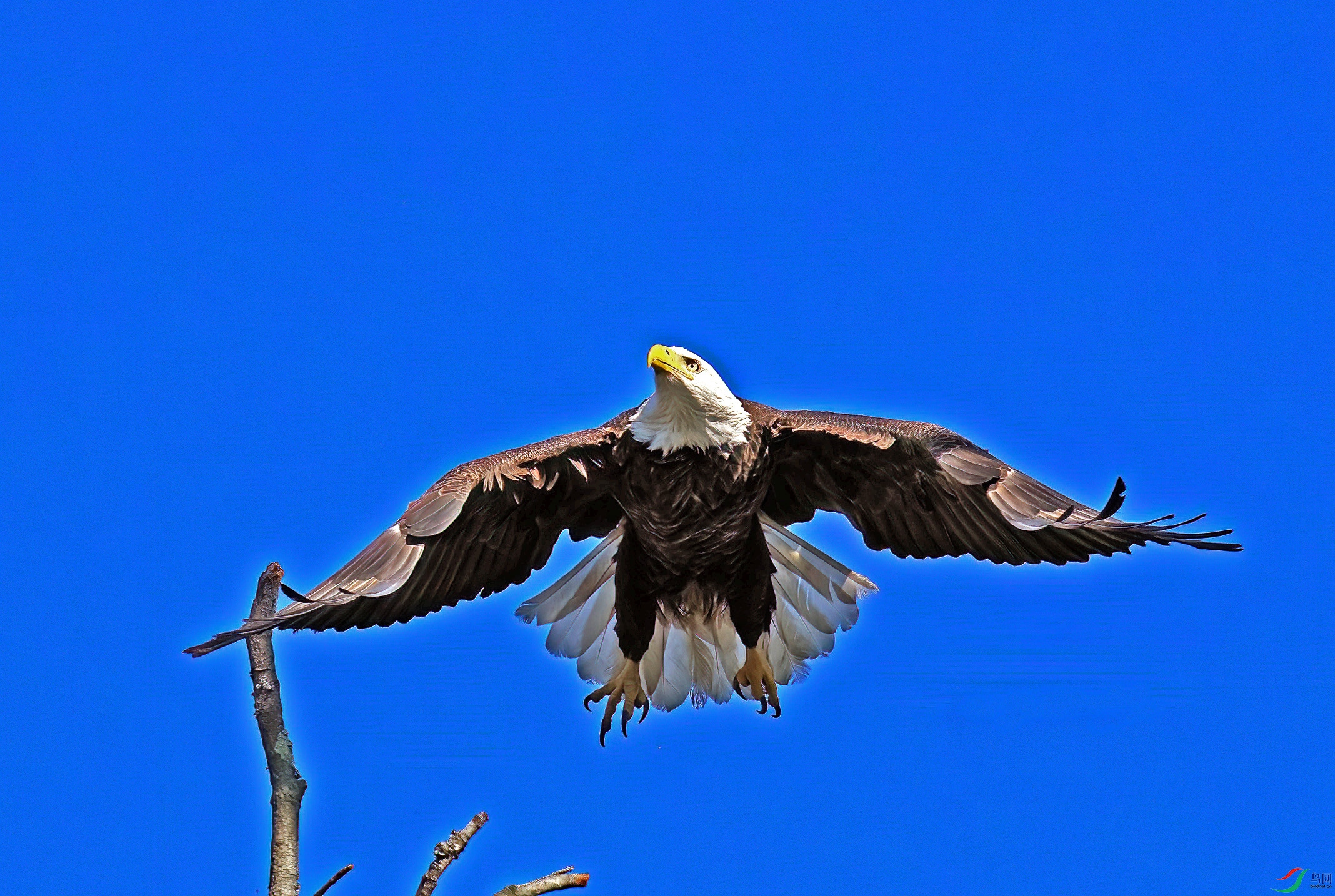 DSD01711--.jpg
