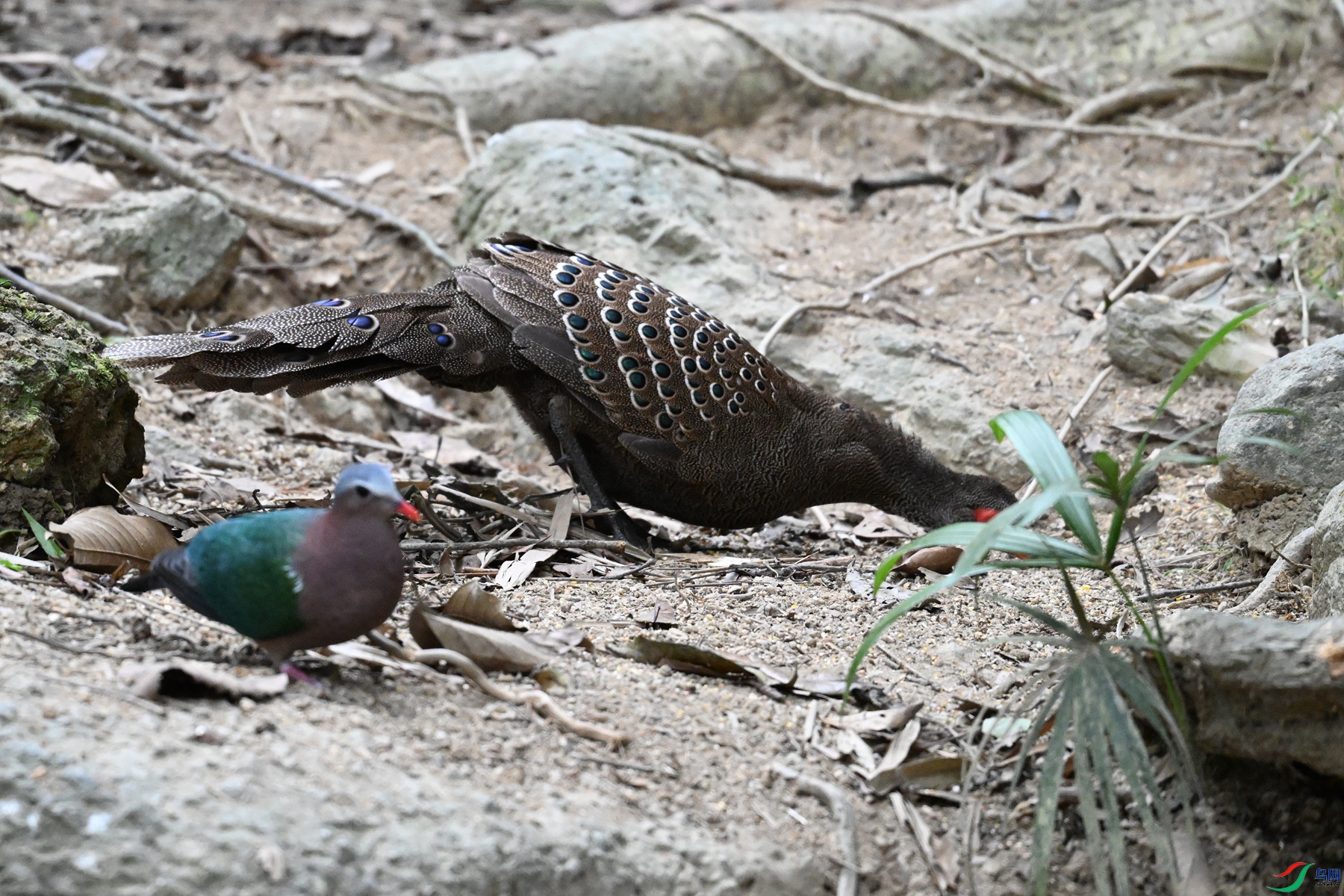 DSC_7582.JPG