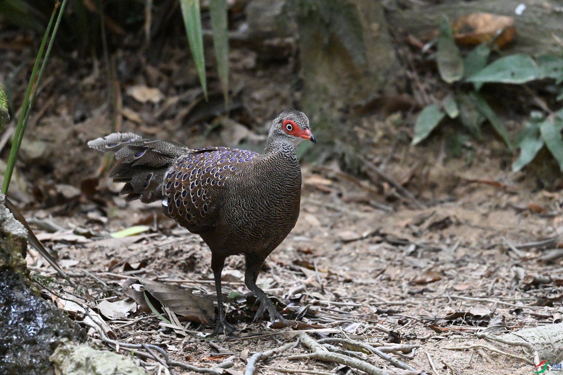 DSC_7584.JPG