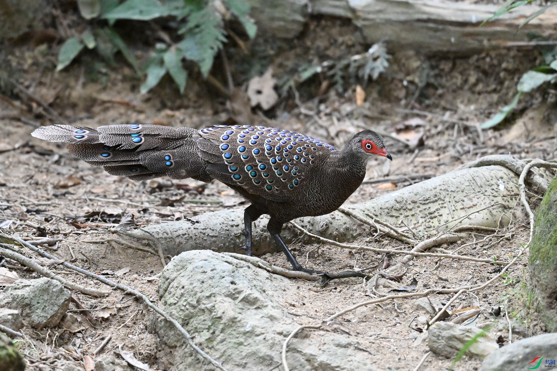 DSC_7589.JPG