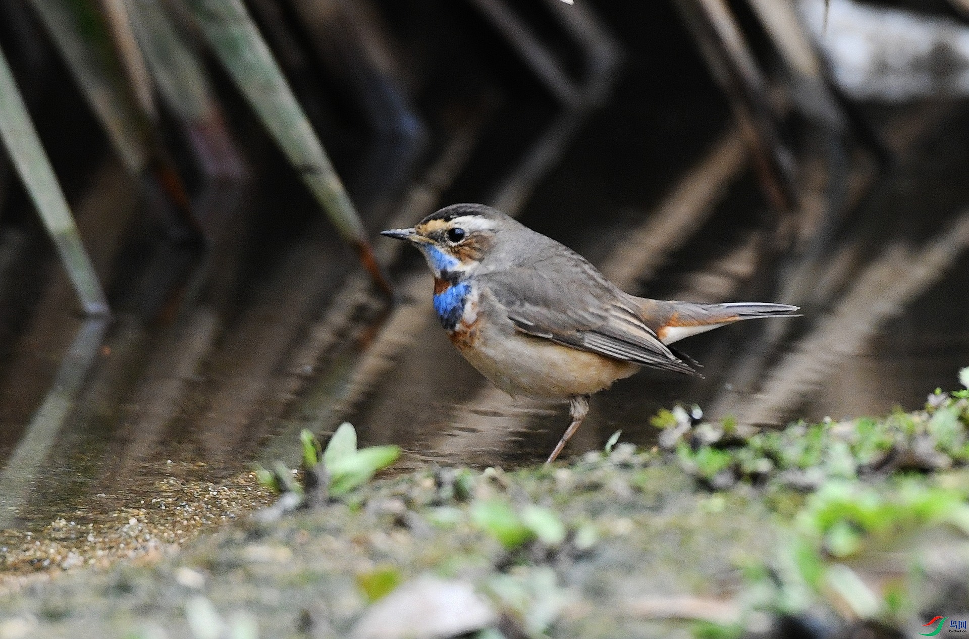 DSC_0647.jpg