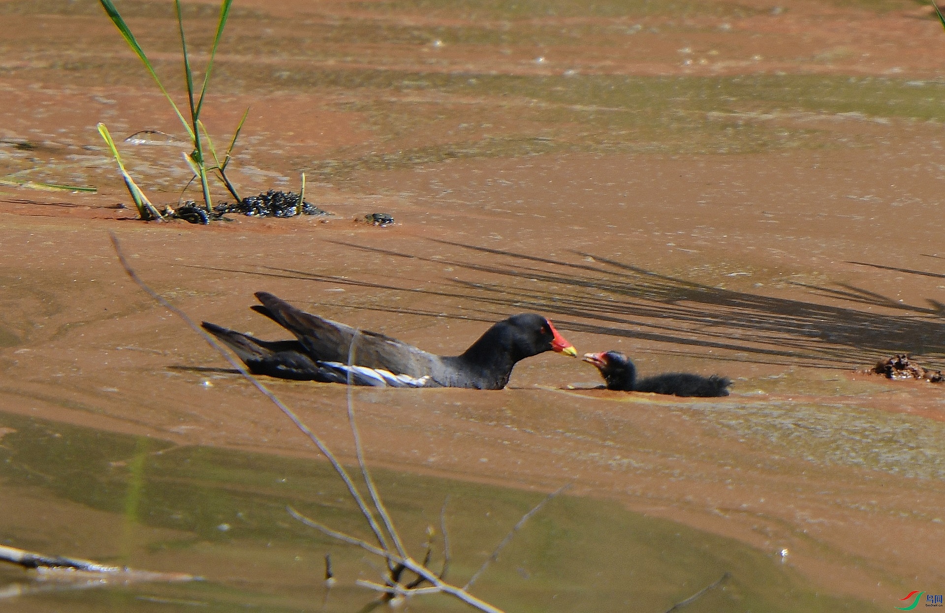 DSC_0686.jpg
