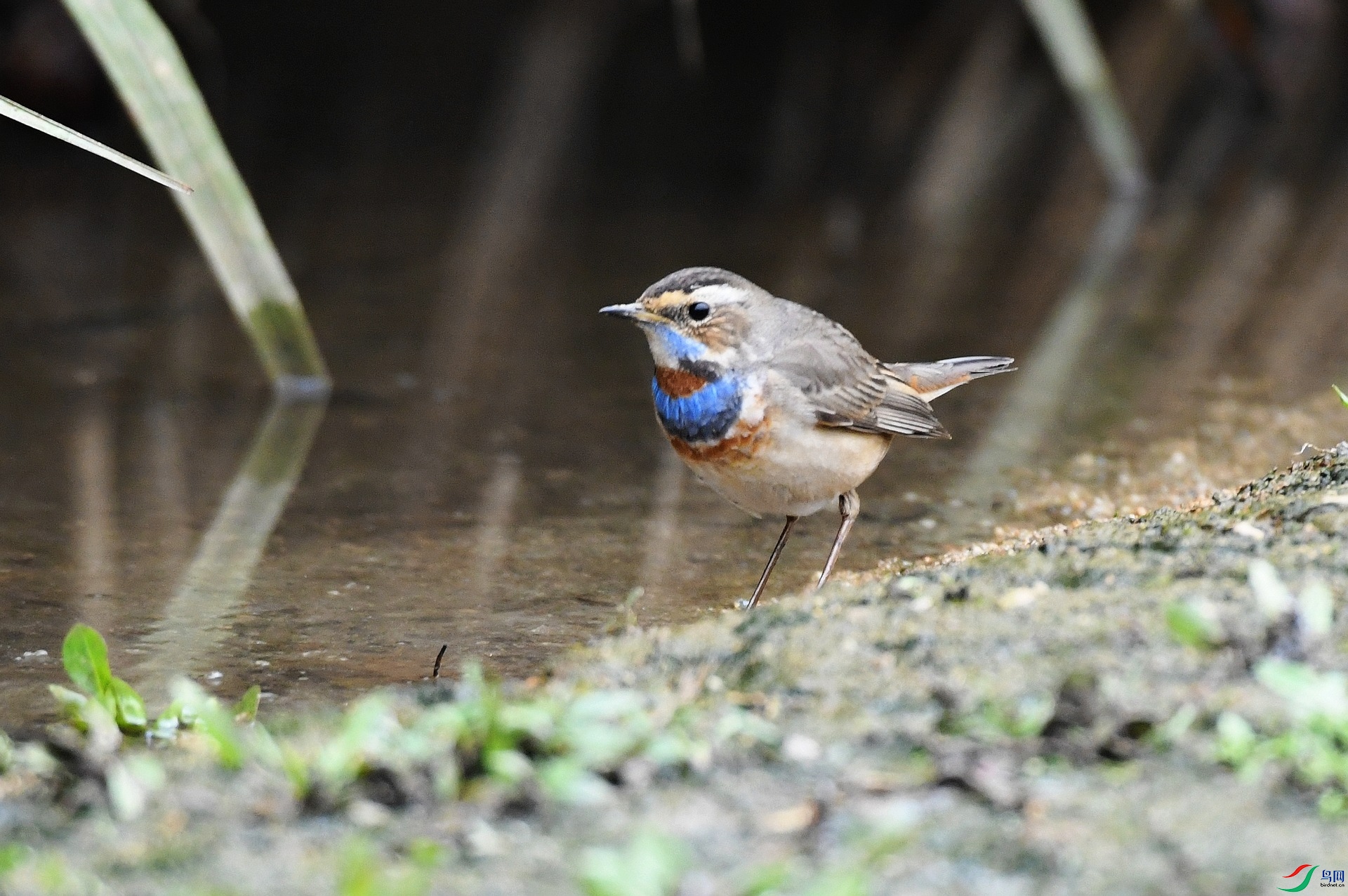 DSC_0657.jpg