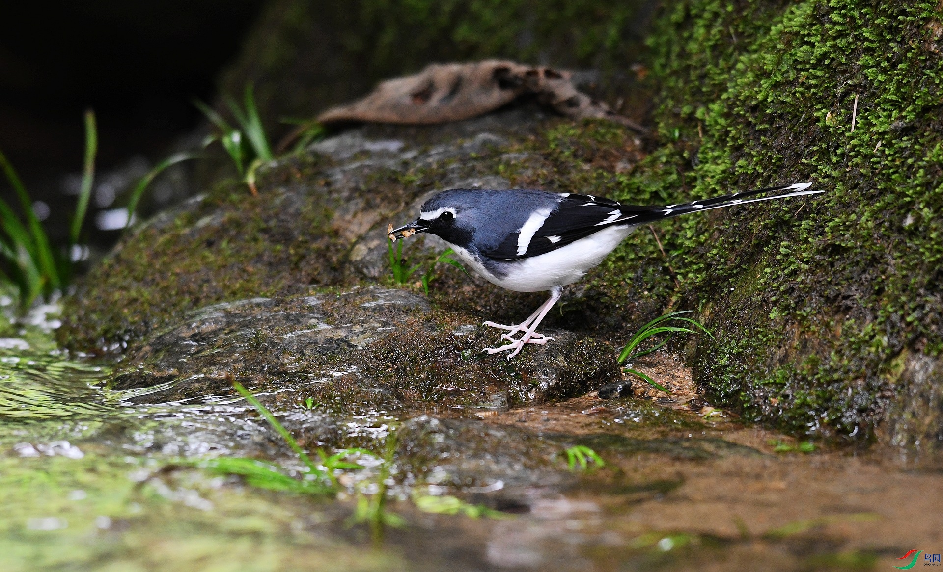 DSC_3905.jpg