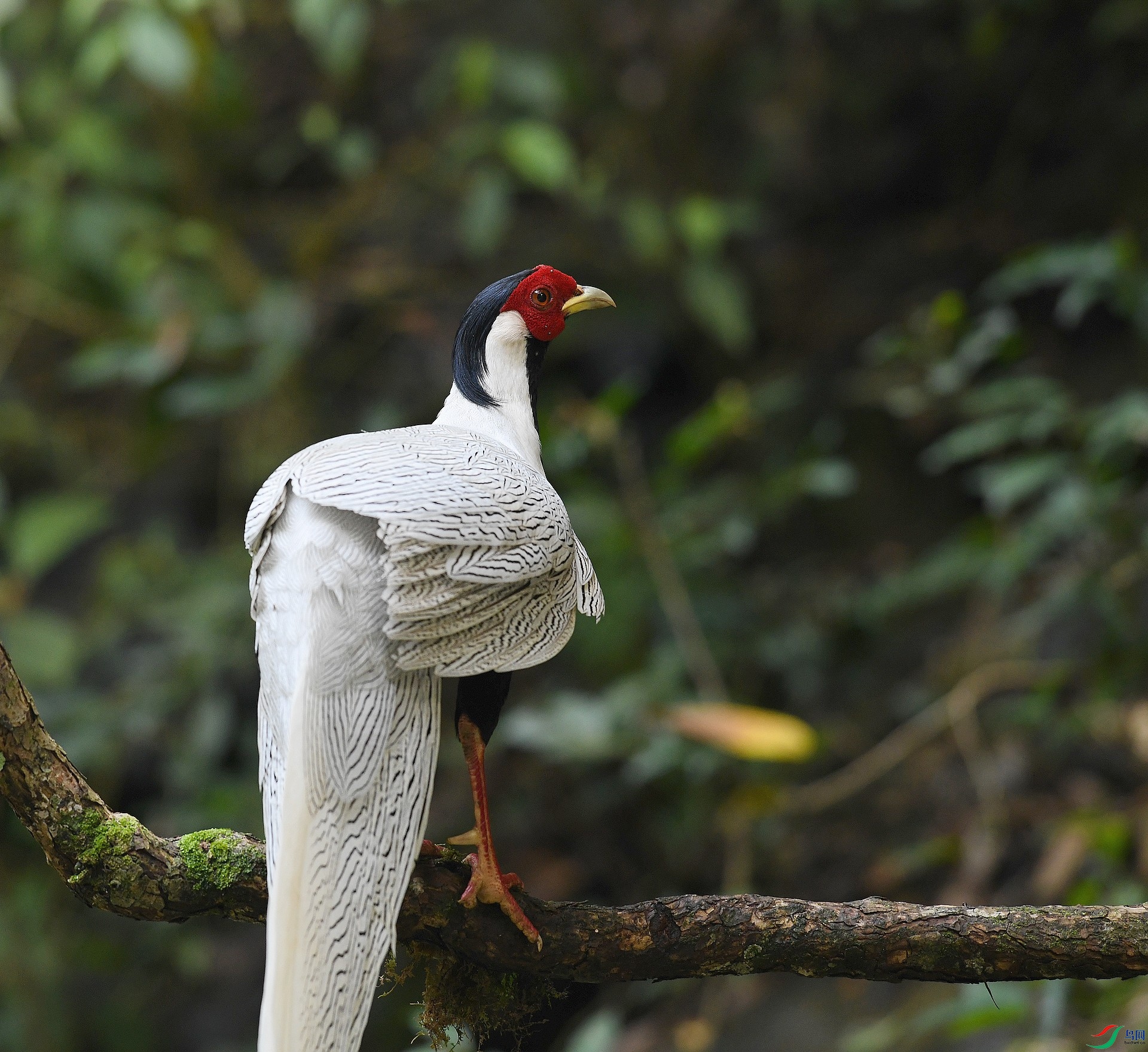 DSC_6471.jpg