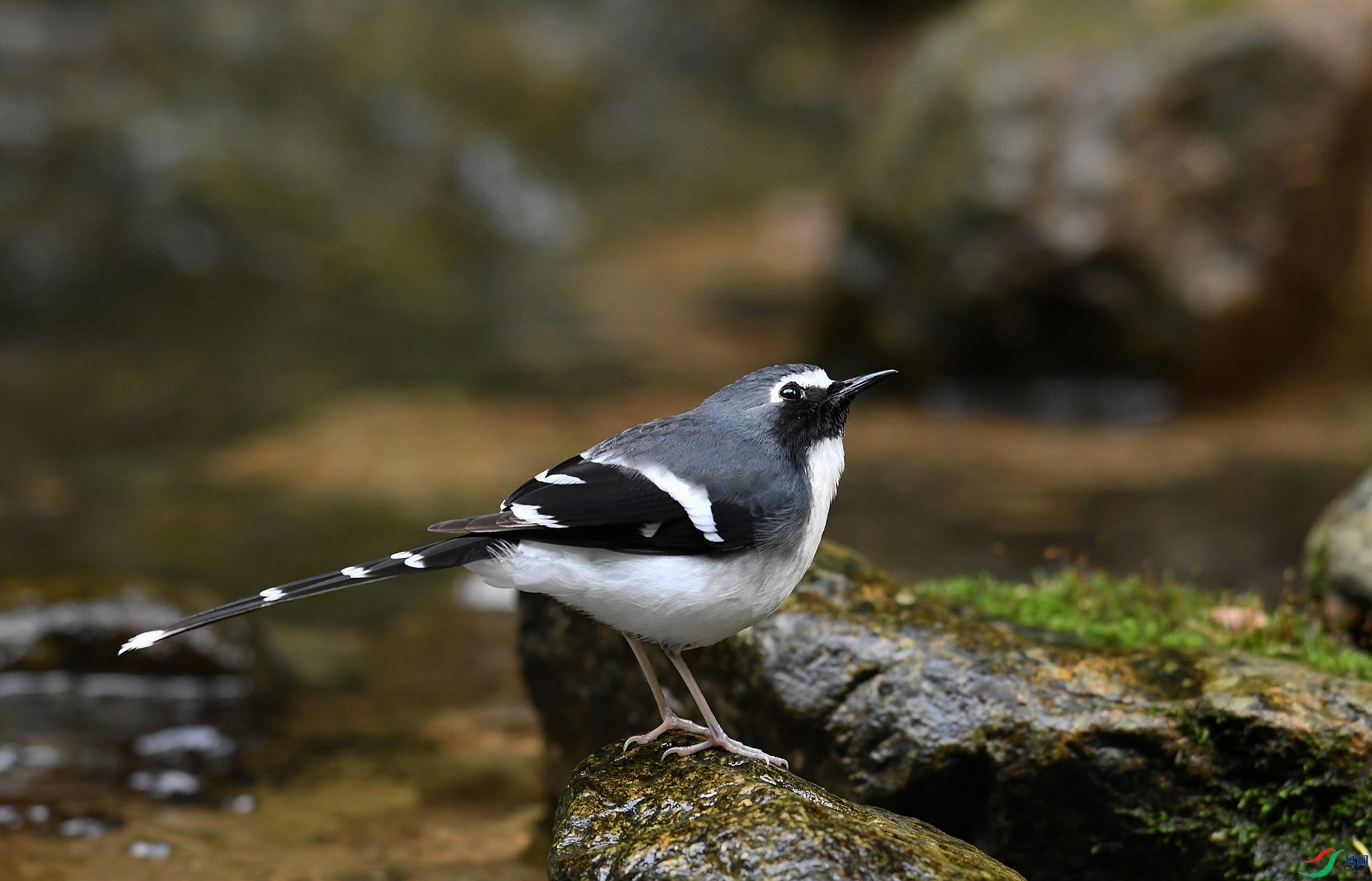 DSC_6642.jpg