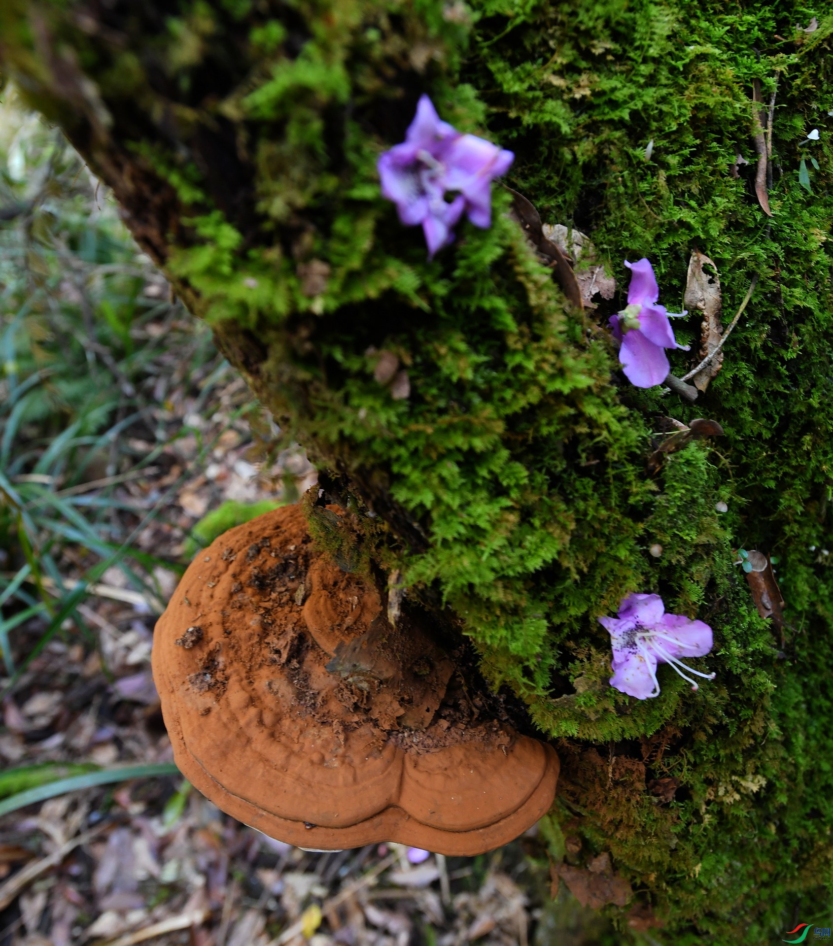 DSC_0852.jpg