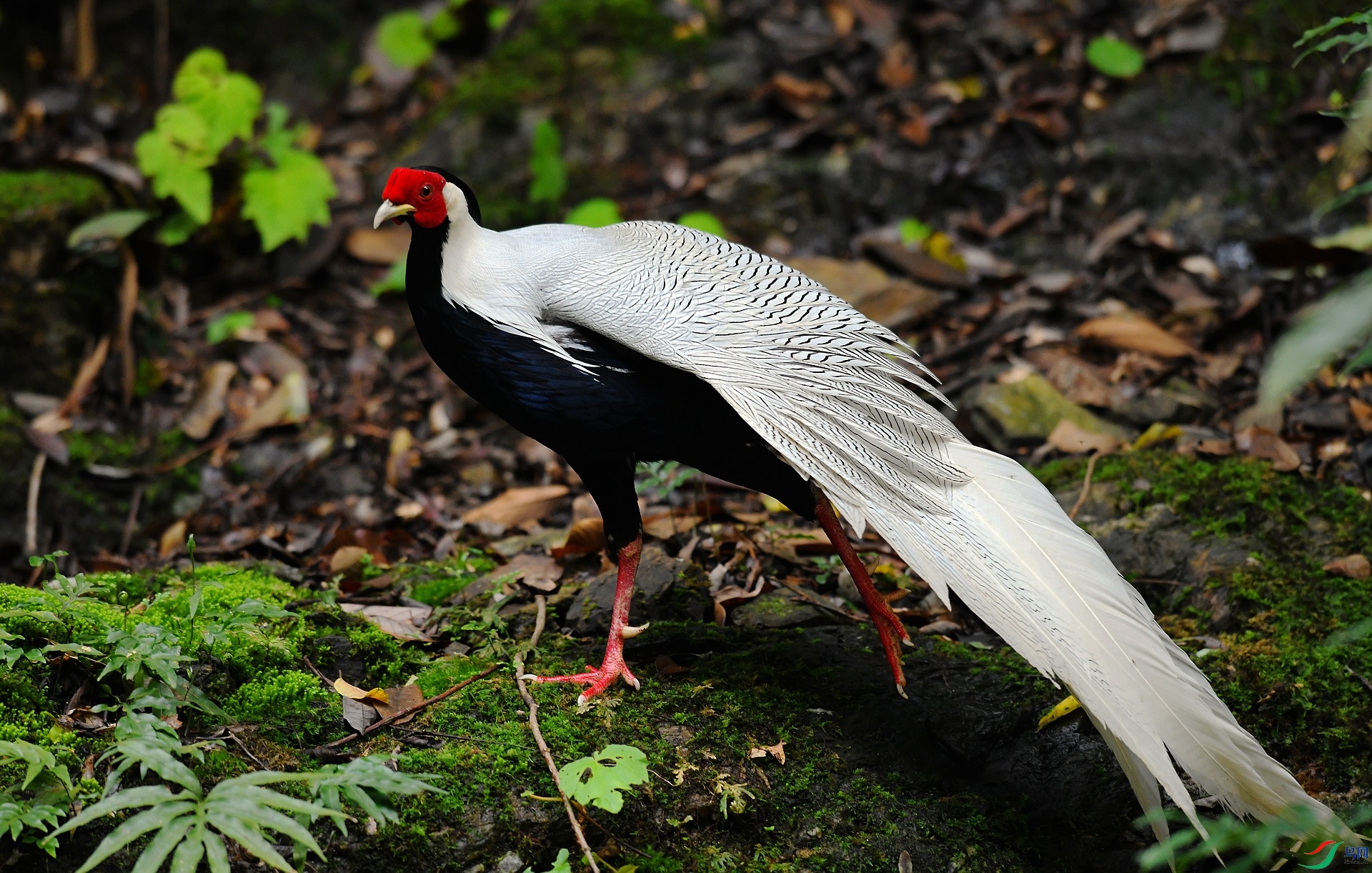 DSC_4163.jpg