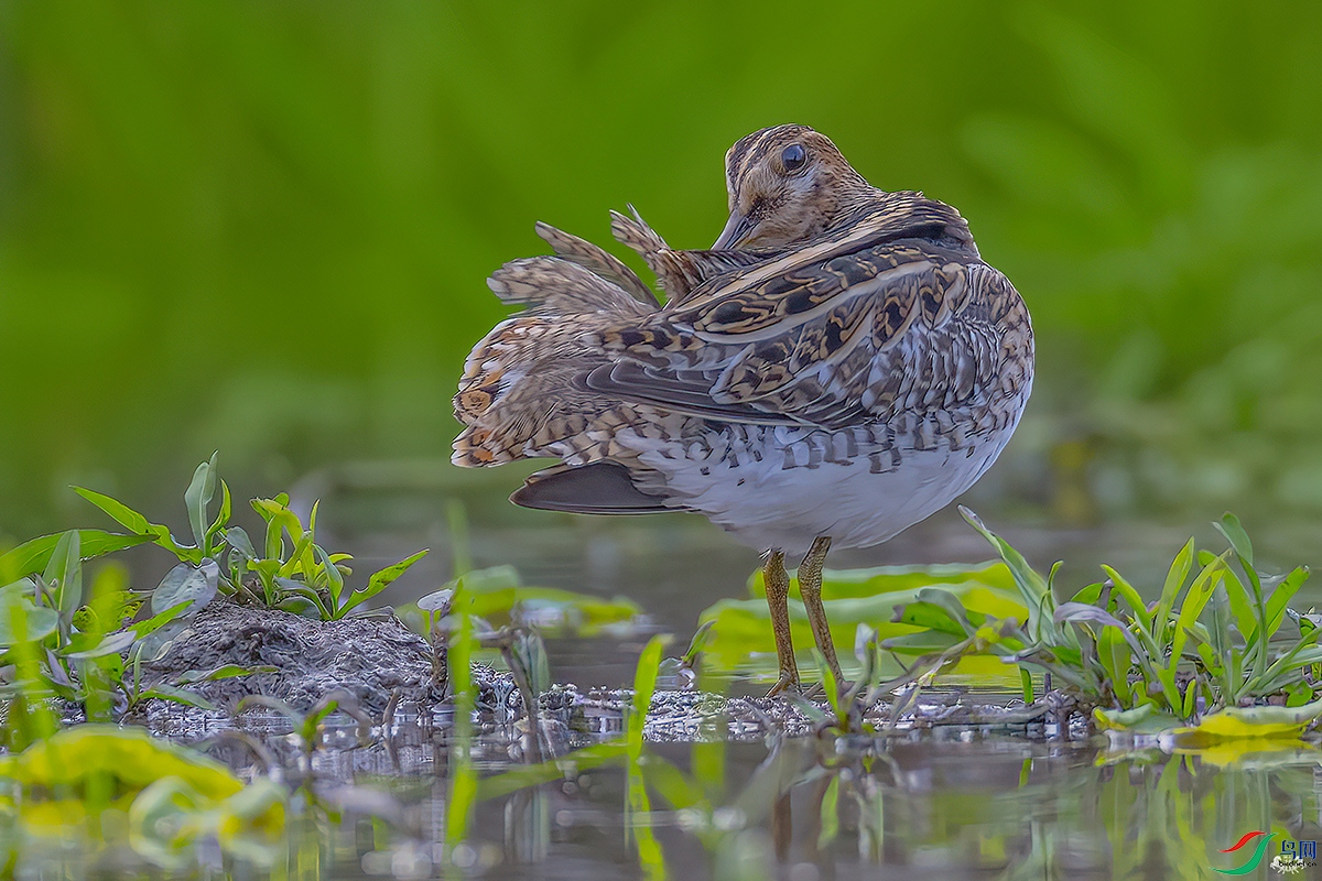 ����Ӱ���� ����.jpg