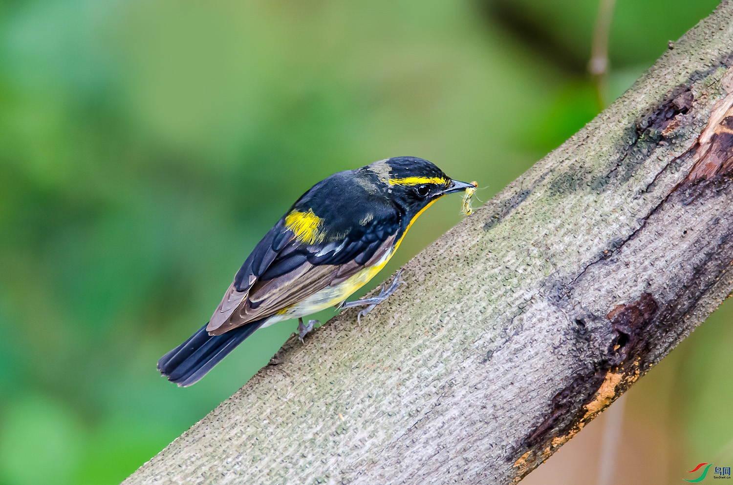 DSC_7016.jpg