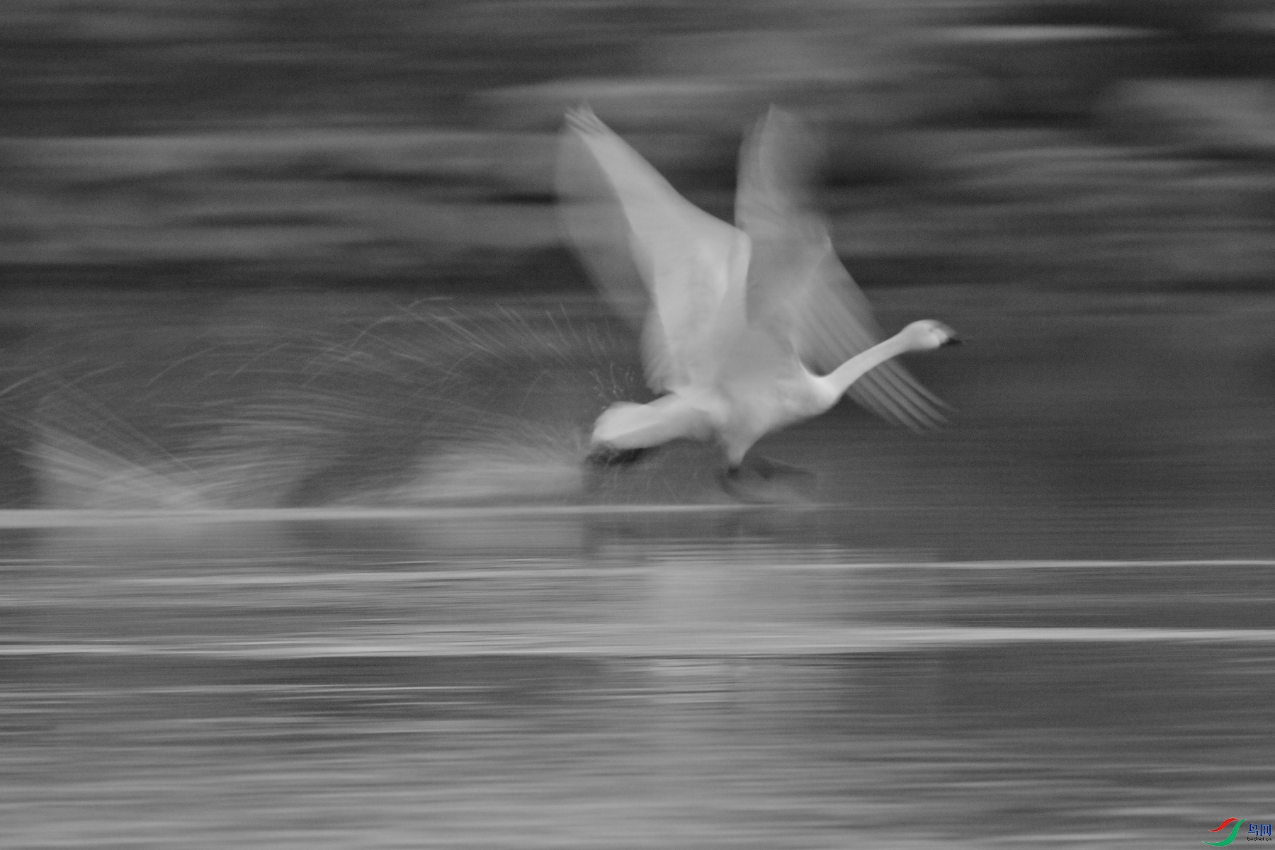 DSC_5185.JPG