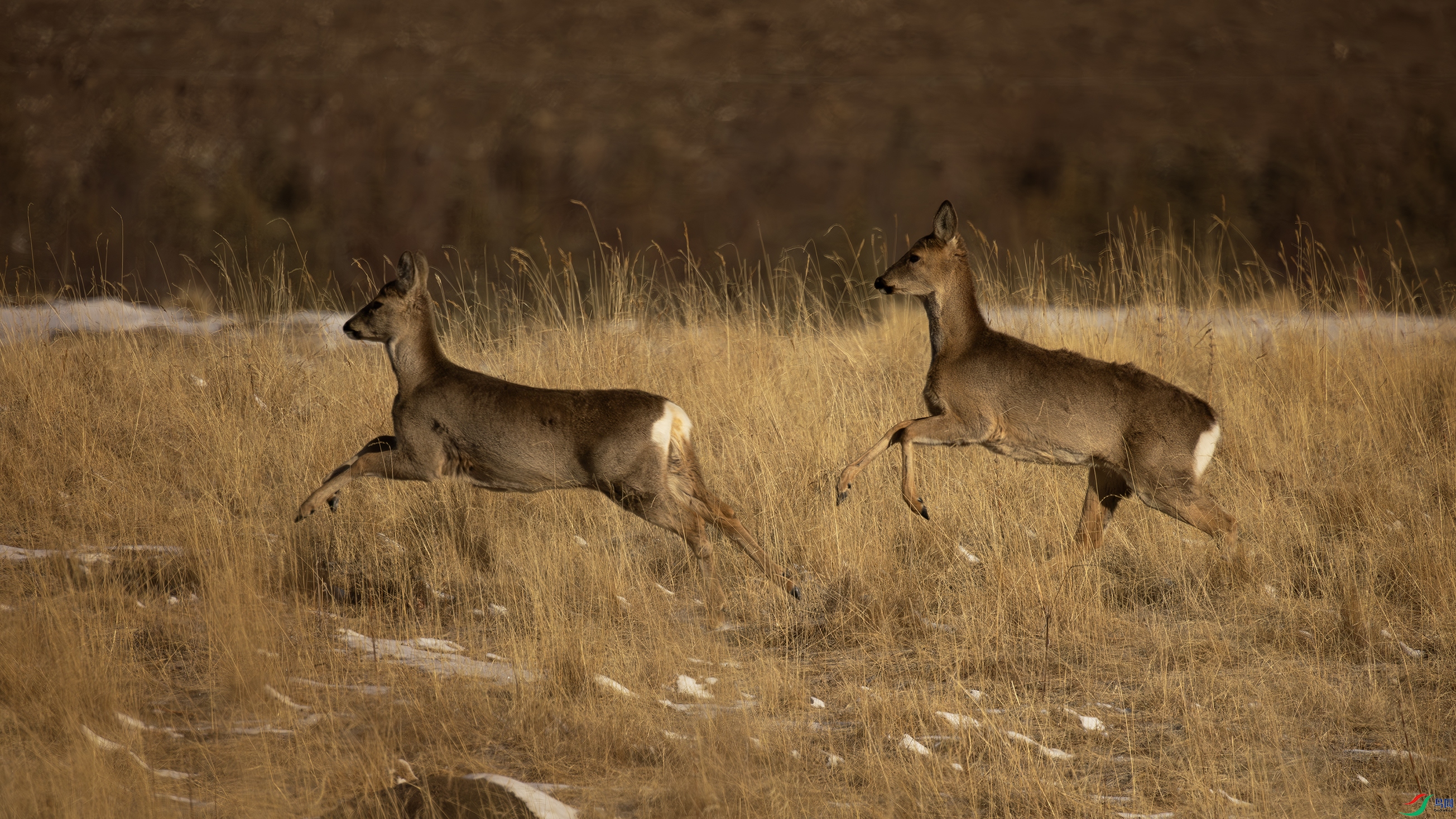 7X5A7558-22.jpg