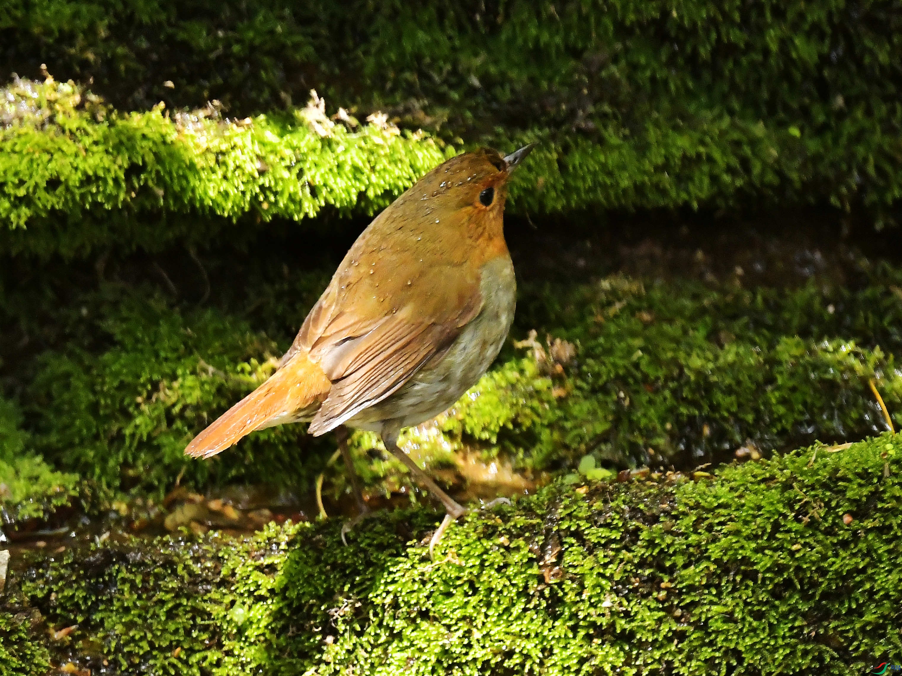 DSC_7389��.jpg
