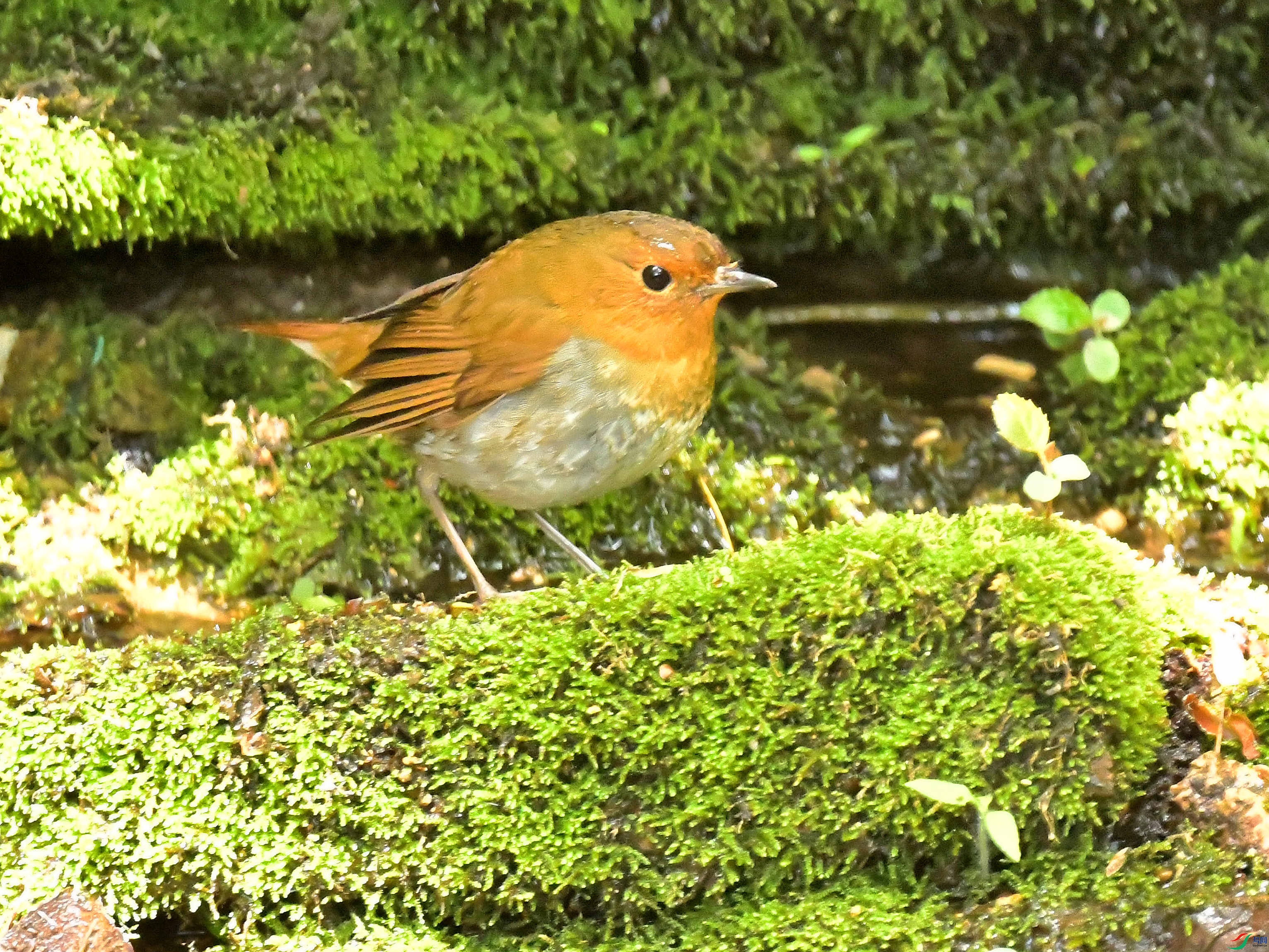 DSC_7392��.jpg