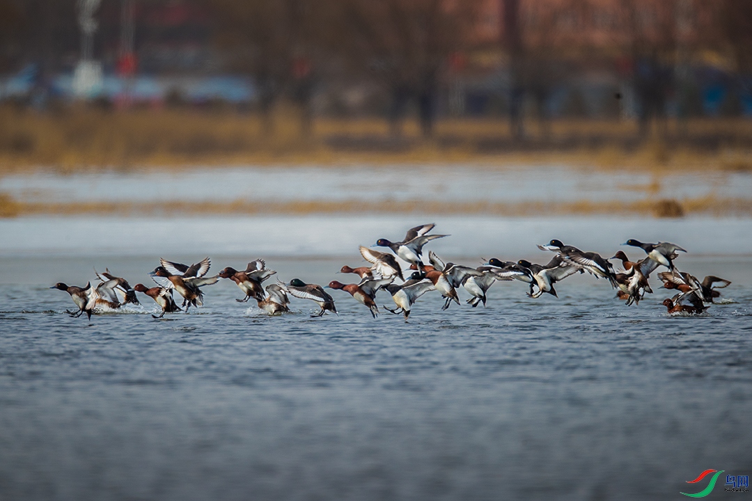 20260312 (140) ����.jpg